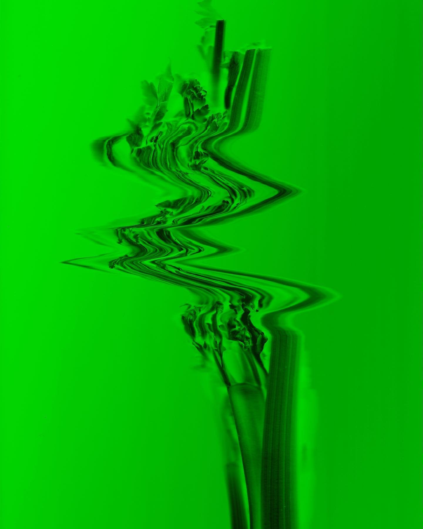 in my neon grunge scanography era??

i discovered a new passion&hellip;scanning fruits and vegetables. i&rsquo;m working on a project that will promote supporting local farmers instead of buying all your produce from supermarkets. stay tuned!