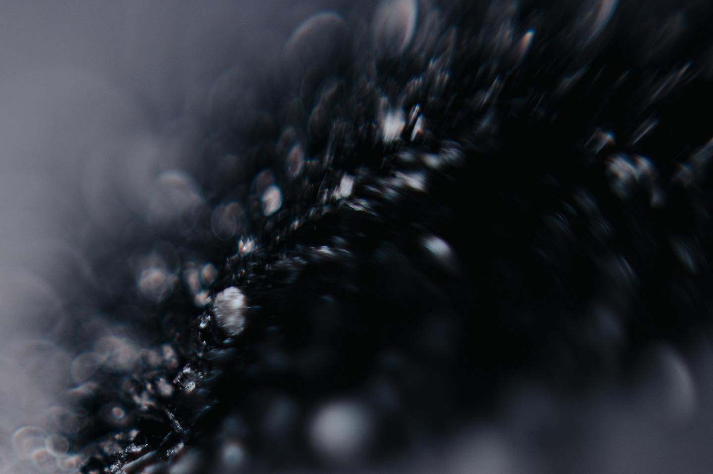 photo experiments in salt: pt. 3

effects acheived by shooting black salt backwards through a 24mm prime lens and dissolving sea salt in water