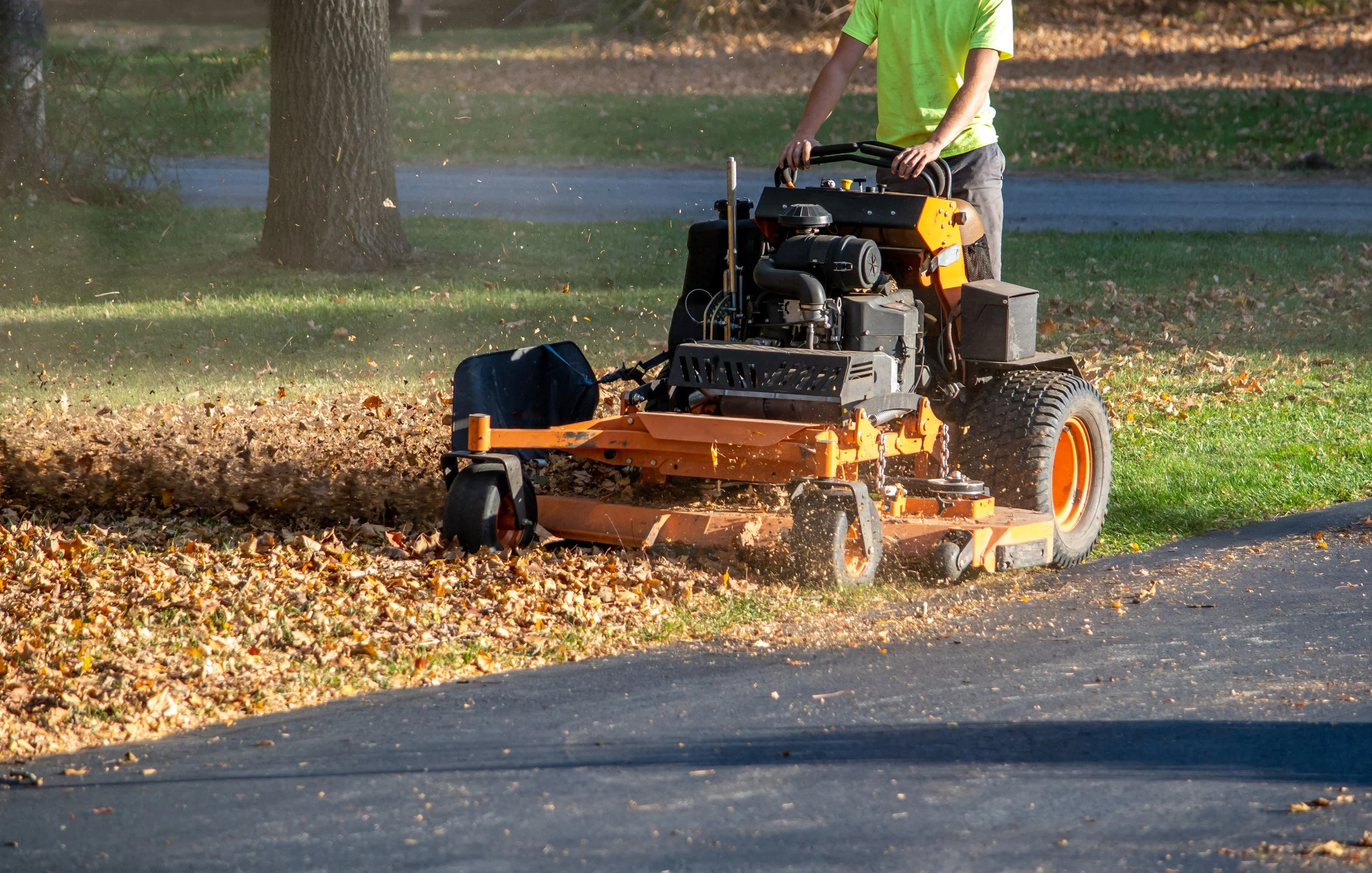 Residential landscaping cleanup project by Markovski Landscaping and Tree Service