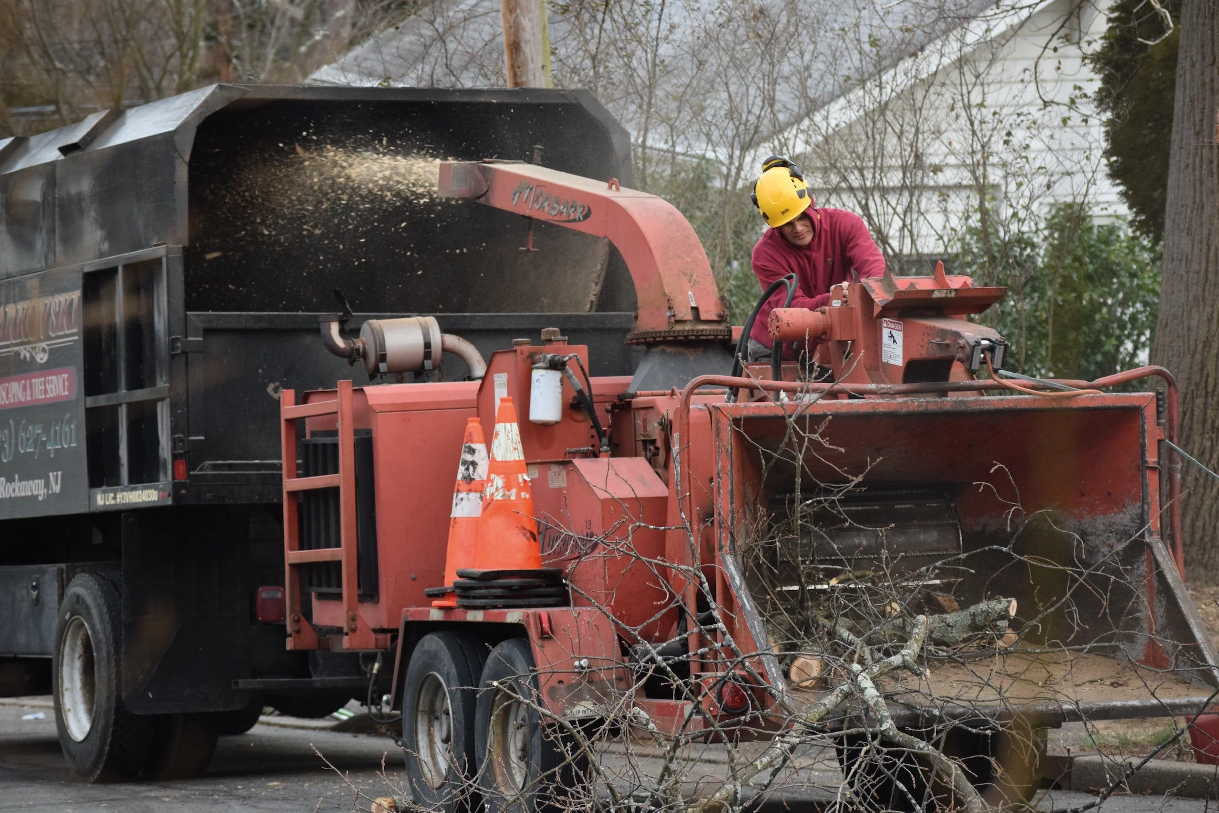 Heavy tree trunk loaded onto Markovski Tree Service truck after tree removal in Rockaway, NJ