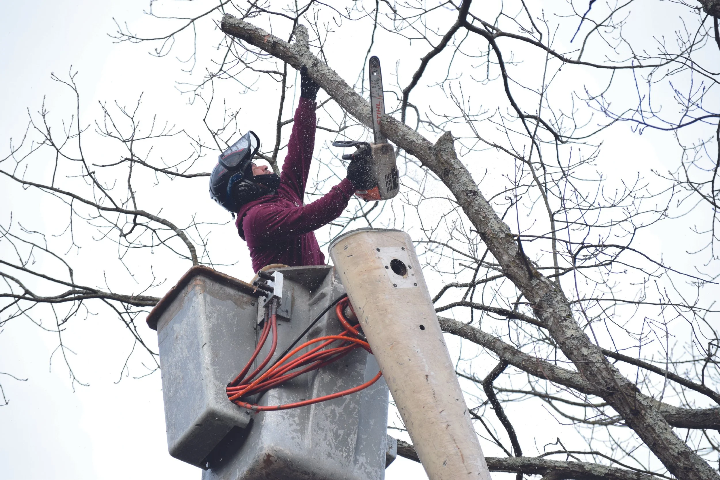 Professional tree trimming using a bucket truck by a licensed tree service near Rockaway, NJ
