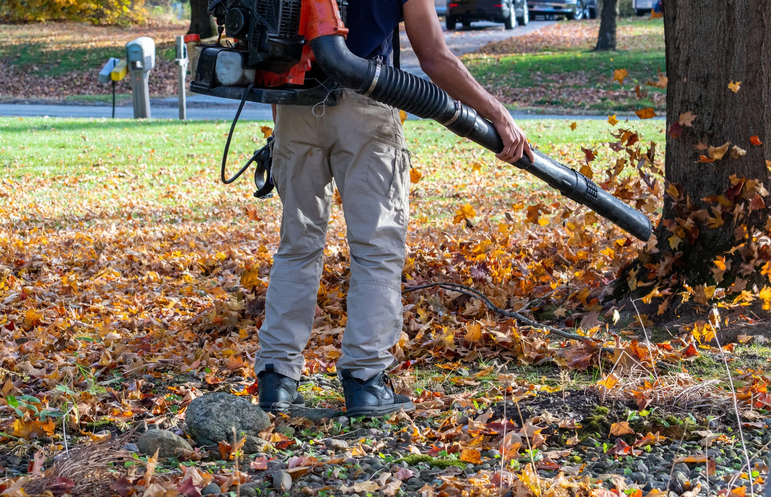 Fall landscaping and leaf cleanup work by Markovski in Morris County NJ