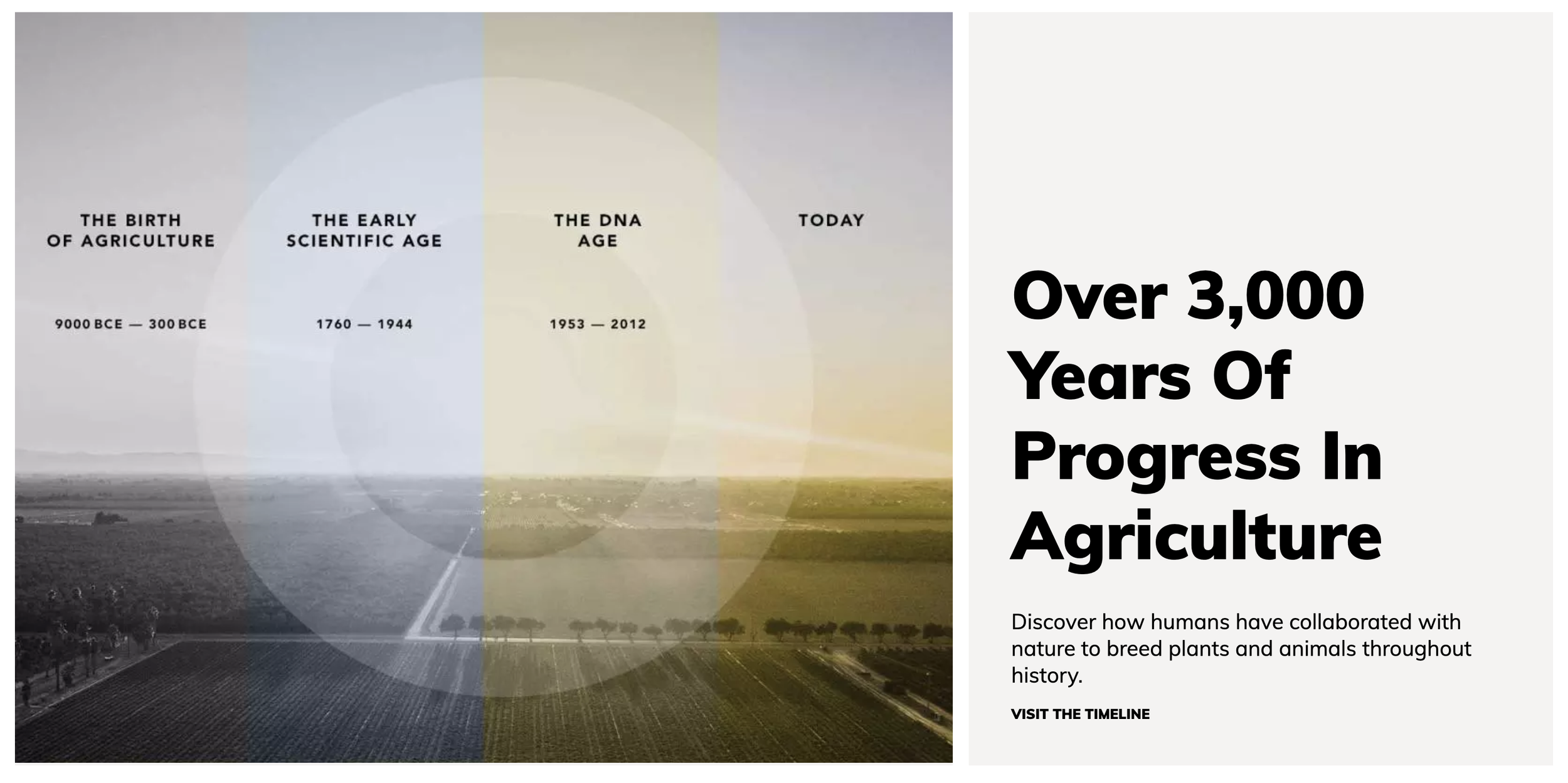 Screenshot 2026-03-16 at 11.49.52 PM.png