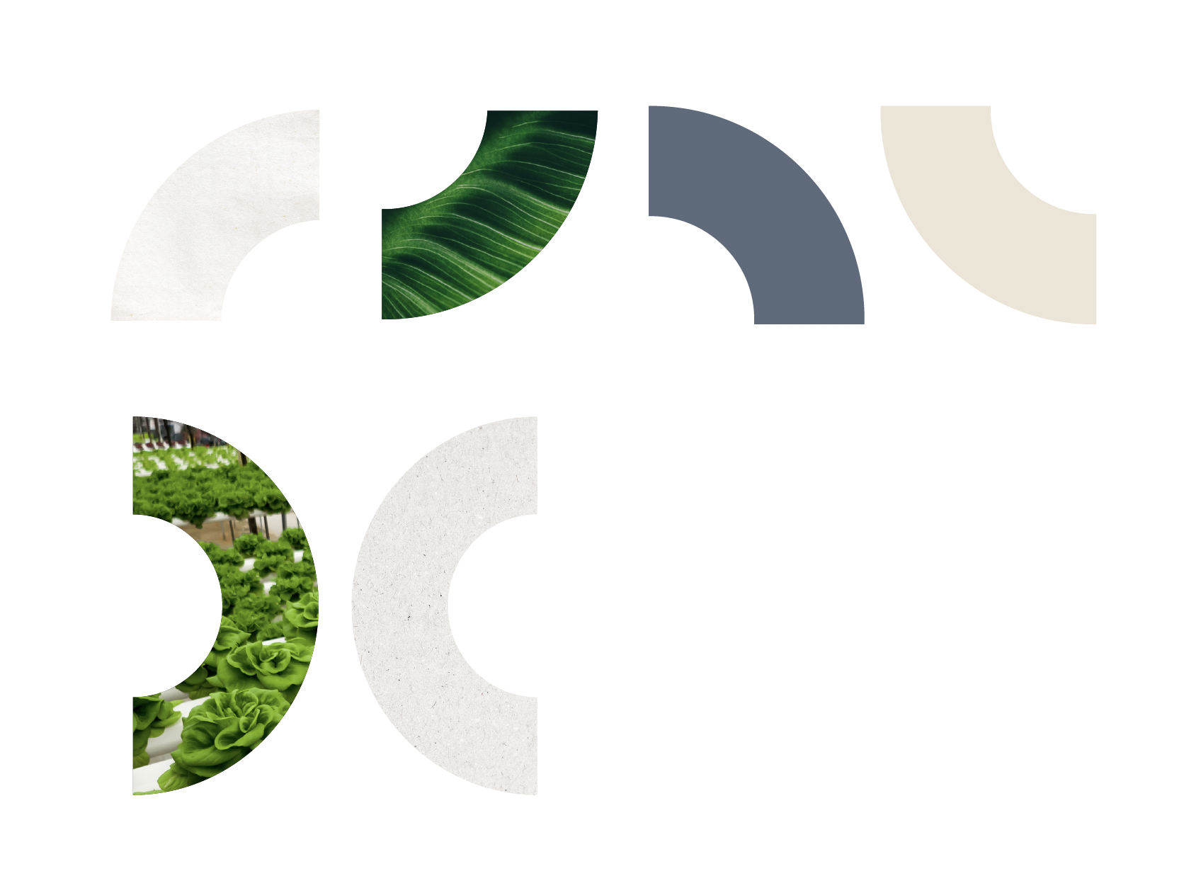 Screenshot 2026-03-17 at 12.09.55 AM.png