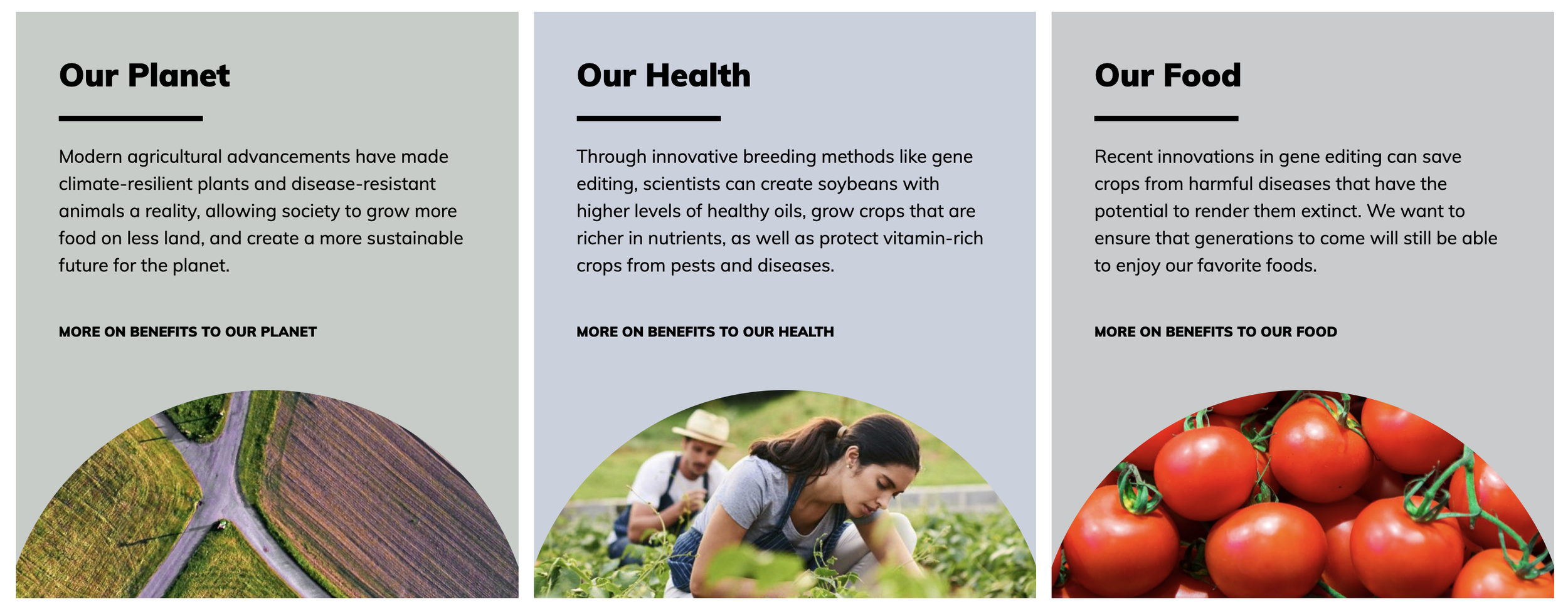 Screenshot 2026-03-16 at 11.49.20 PM.png