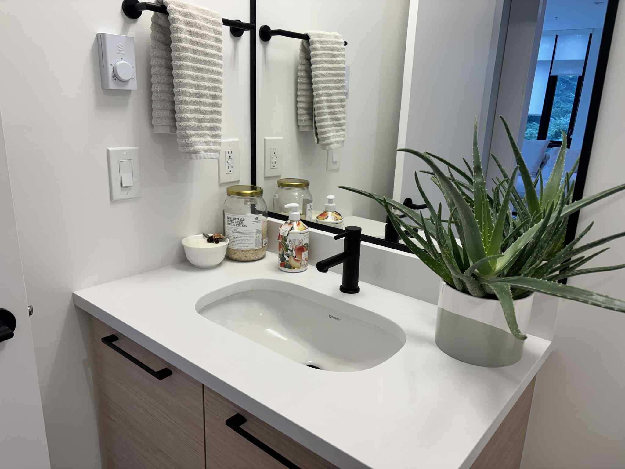 Bathroom vanity with a white sink, black faucet, large aloe vera plant in a white pot, soap dispenser, mason jar with breakfast cereal, bowl with honey, mirror, and towel hanging on a black bar, with a window showing trees outside.