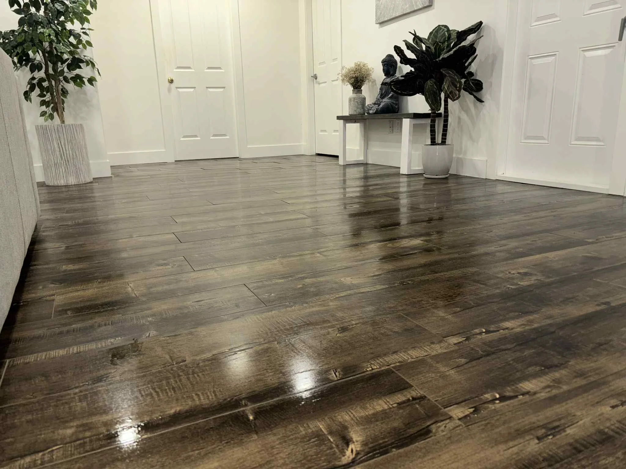 Living room or hallway with dark polished wooden floor, white walls, white doors, and decorative plants and statues.