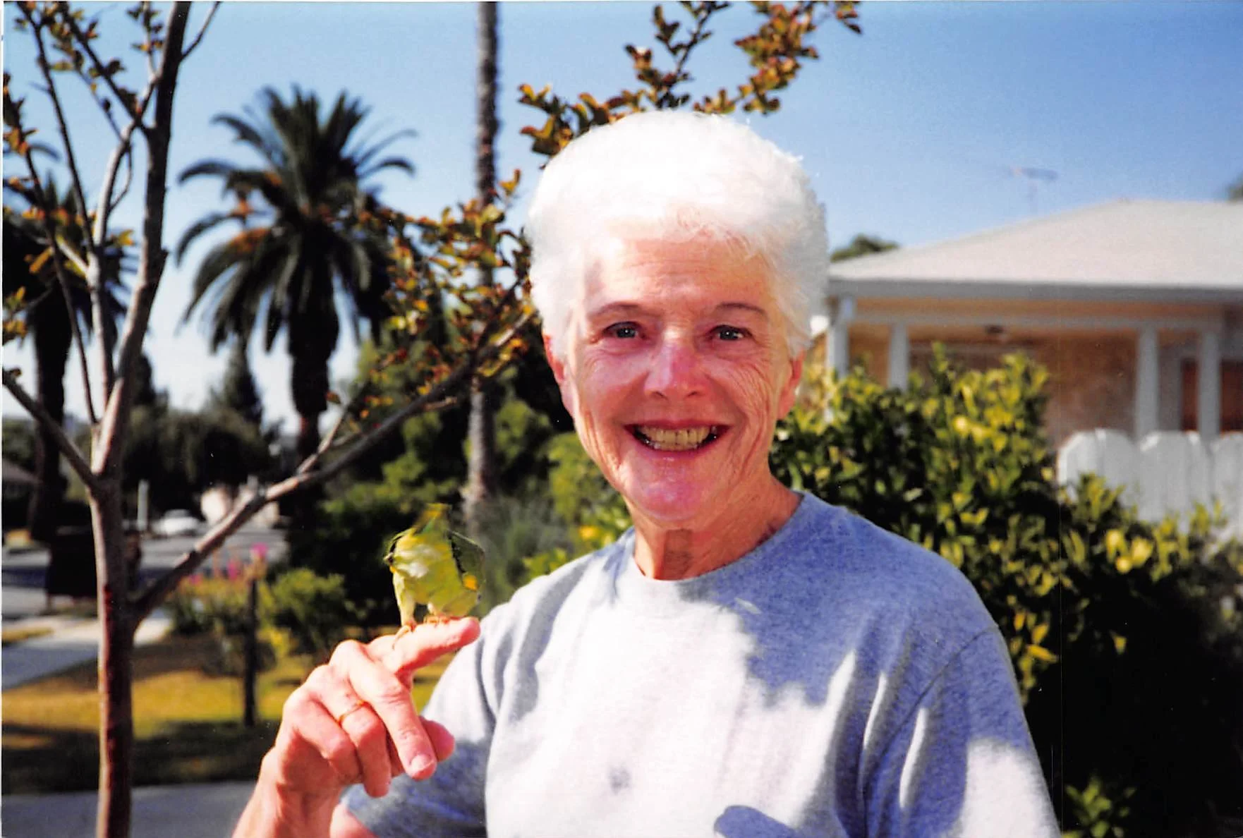 An elderly woman with white hair smiling outdoors while holding a yellow butterfly on her finger, with trees and a house in the background on a sunny day.