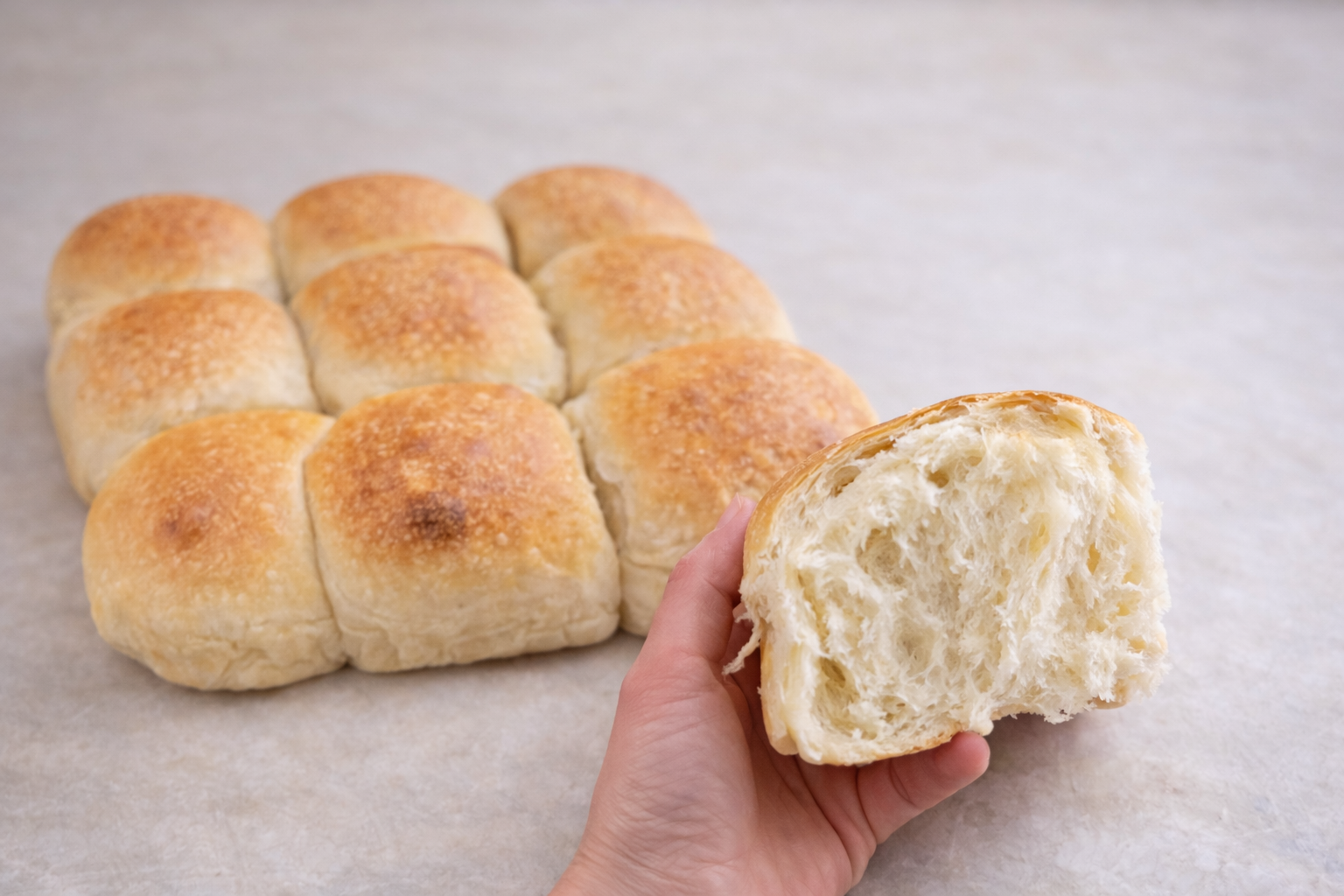 Sourdough Dinner Rolls