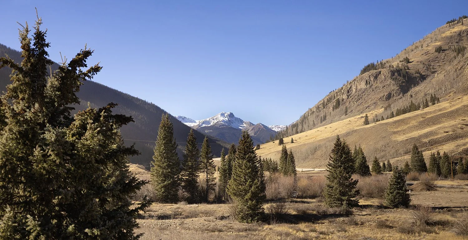 Mountain valley with pine trees, rolling hills, and snow-capped peaks in the background under a clear blue sky.