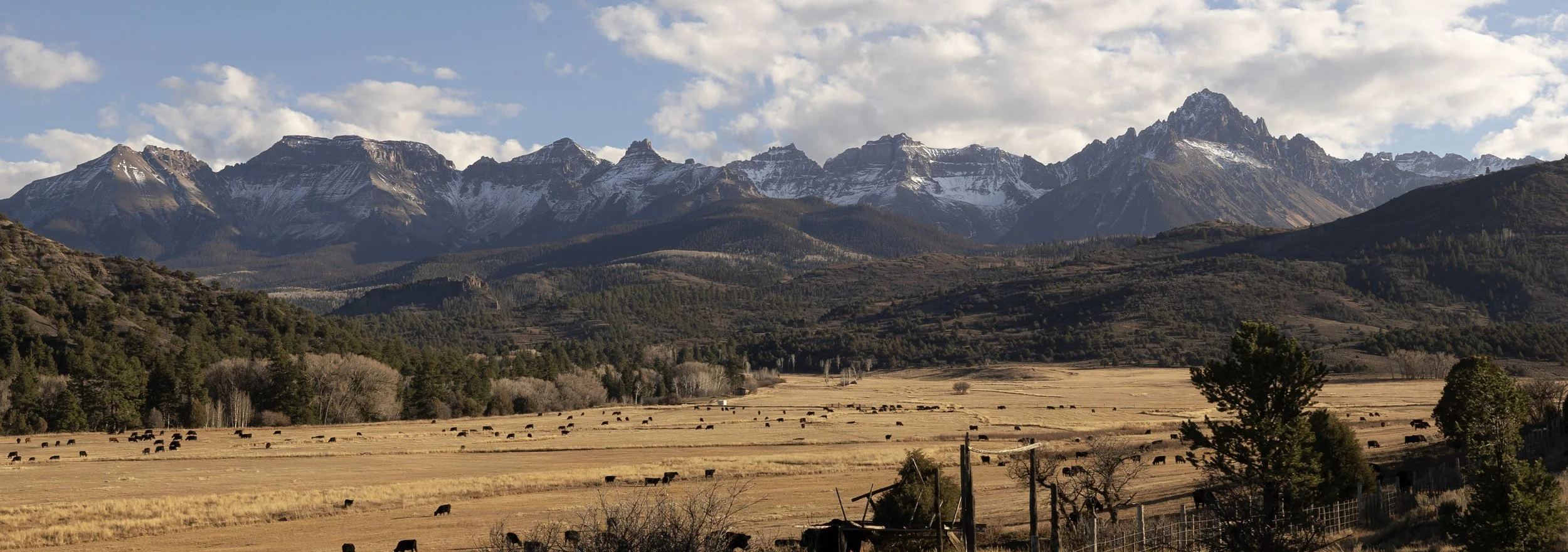 Mountain range with snow-capped peaks and a rural farm field with cattle grazing.