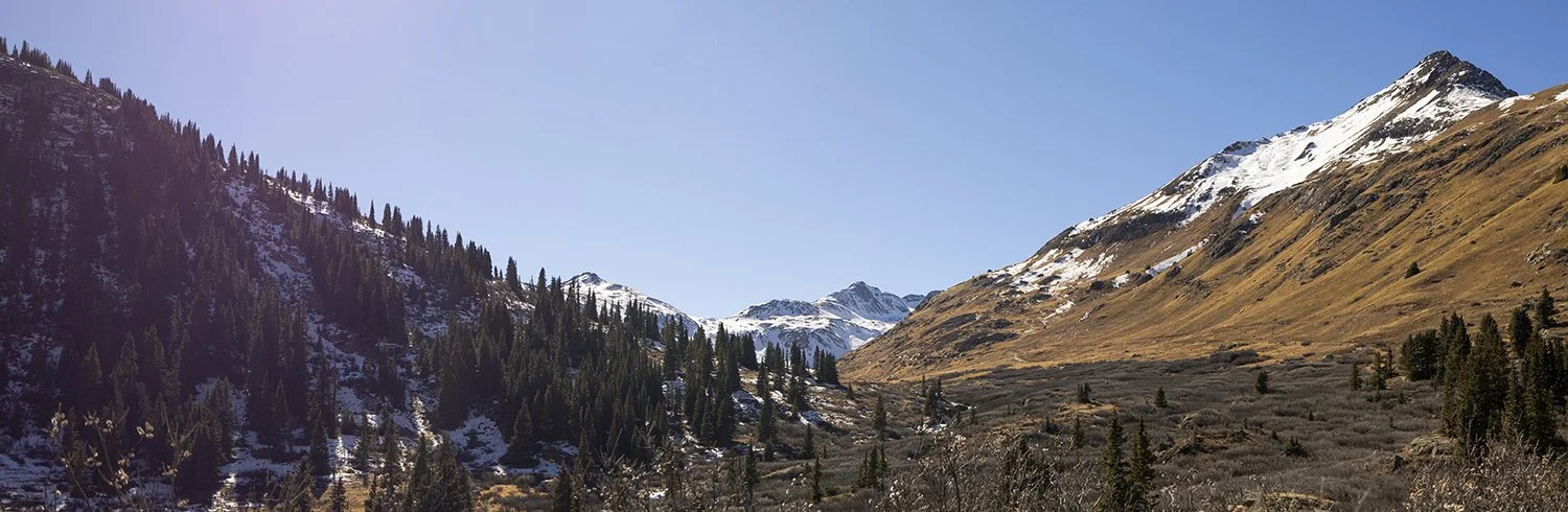 Snow-capped mountains with sparse trees and brown grass in a valley under a clear blue sky.