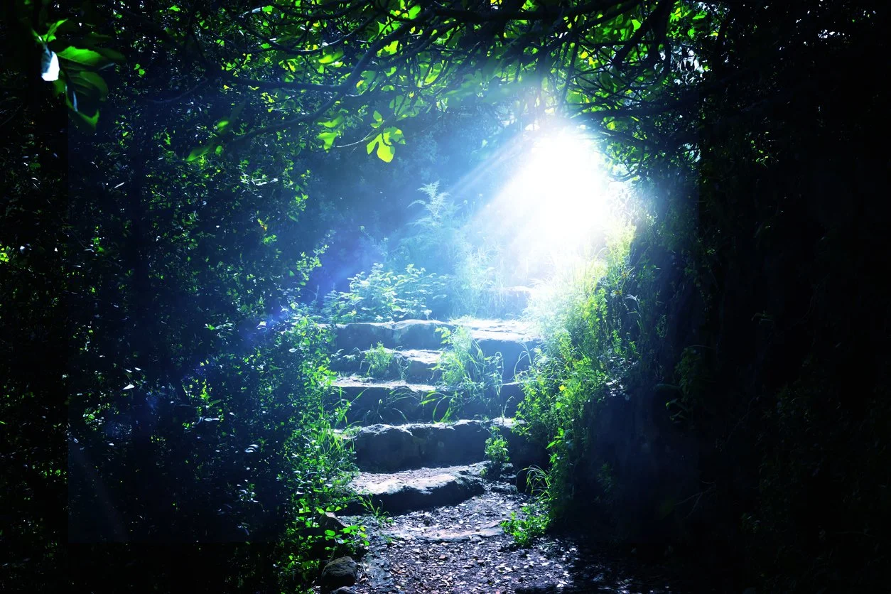 Beautiful entryway in the trees with steps leading to an opening with light streaming through it - this represents path a being makes as they cross to the Light during a depossession