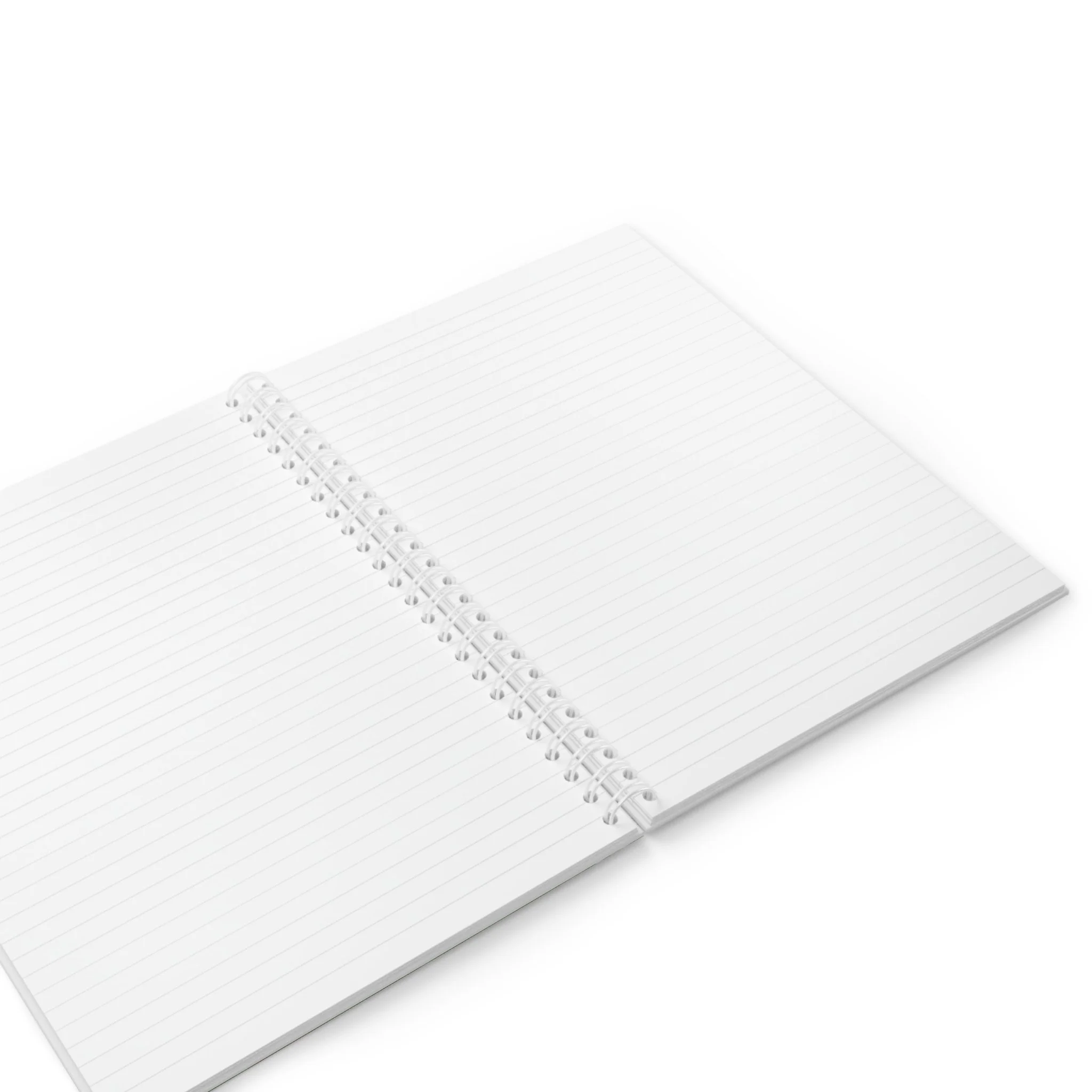 PP notebook 2.jpg