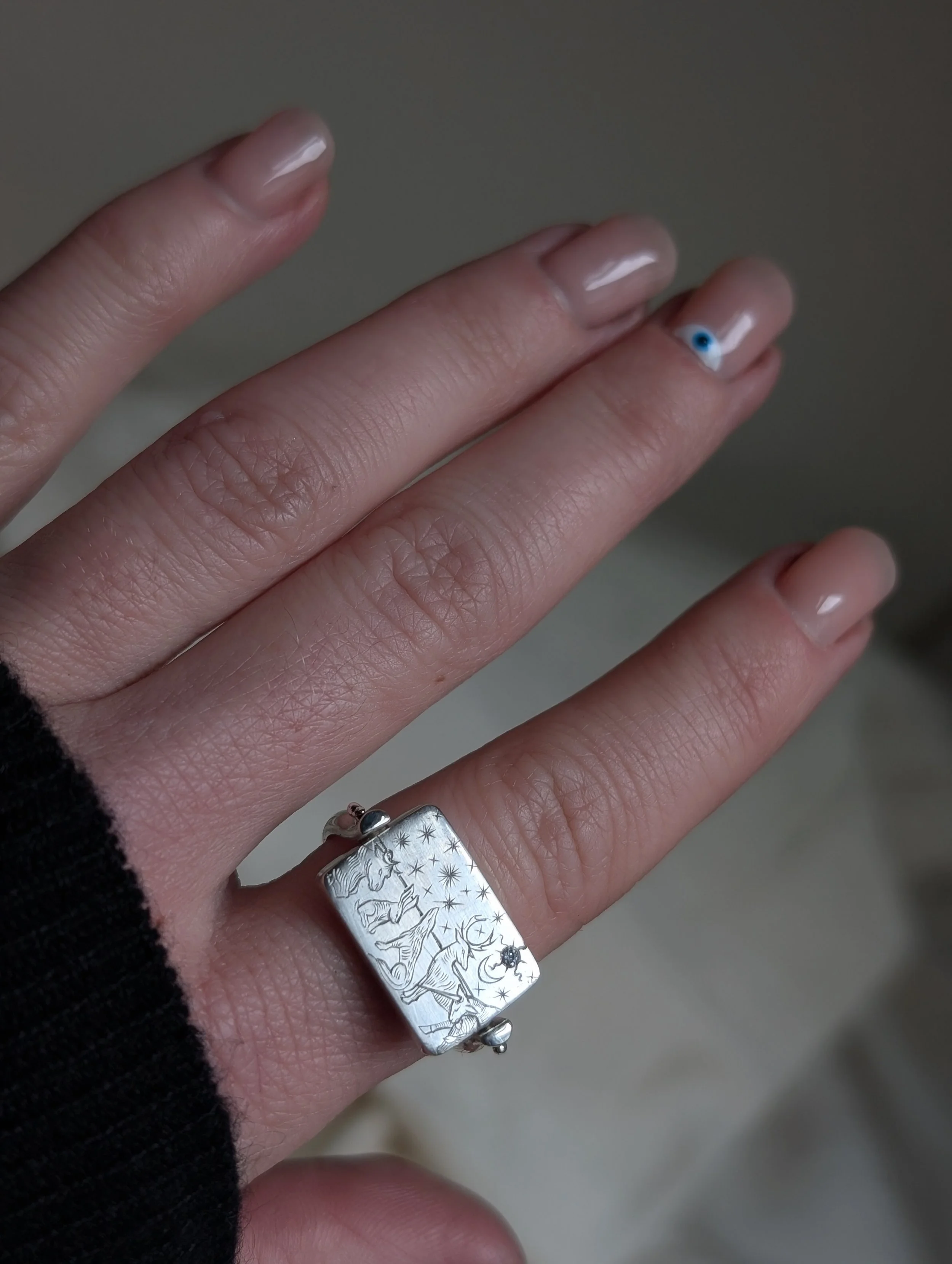 ANIMALS UNDER A NIGHT SKY