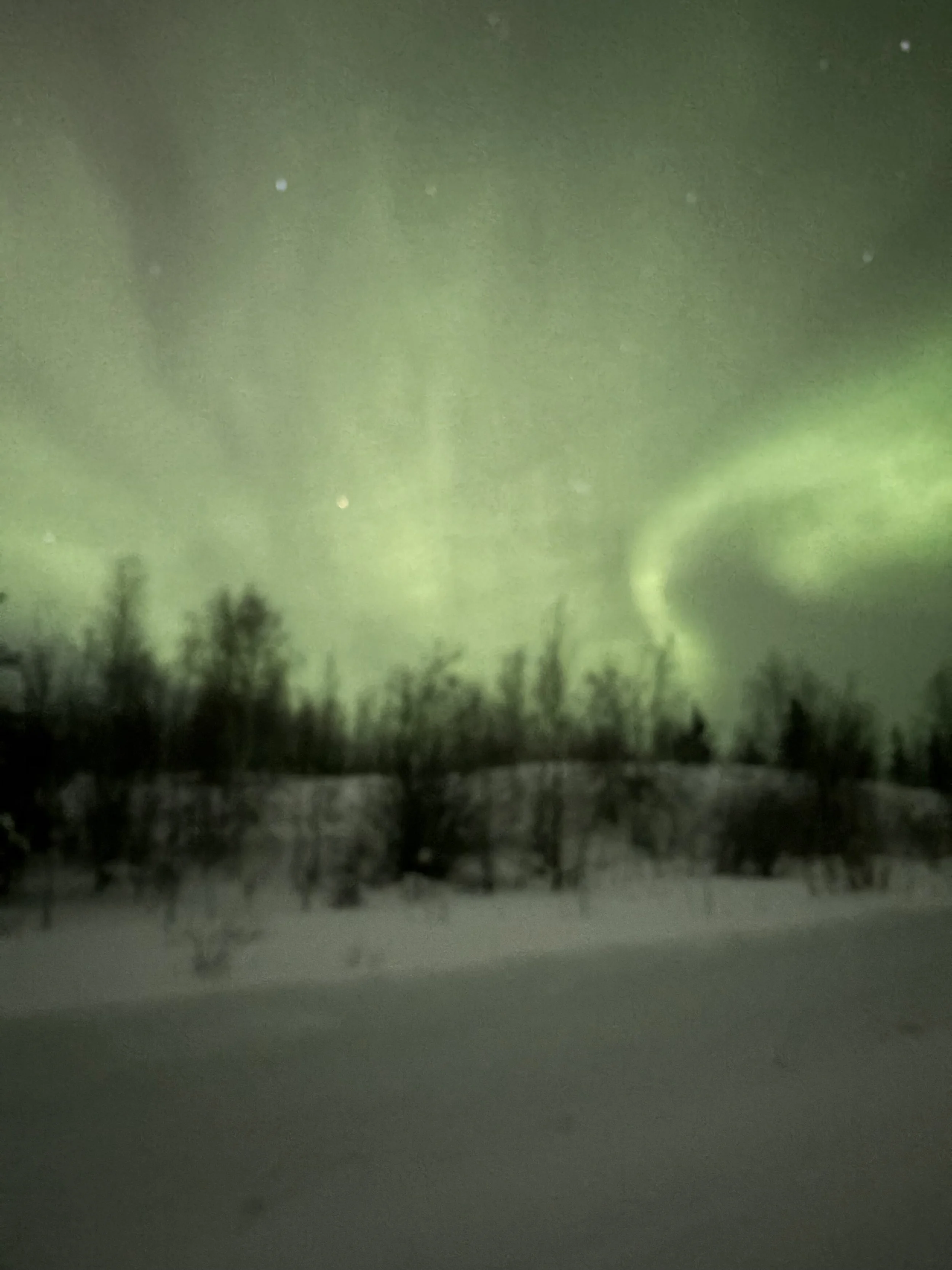 Northern Lights illuminating the night sky over a field with trees.