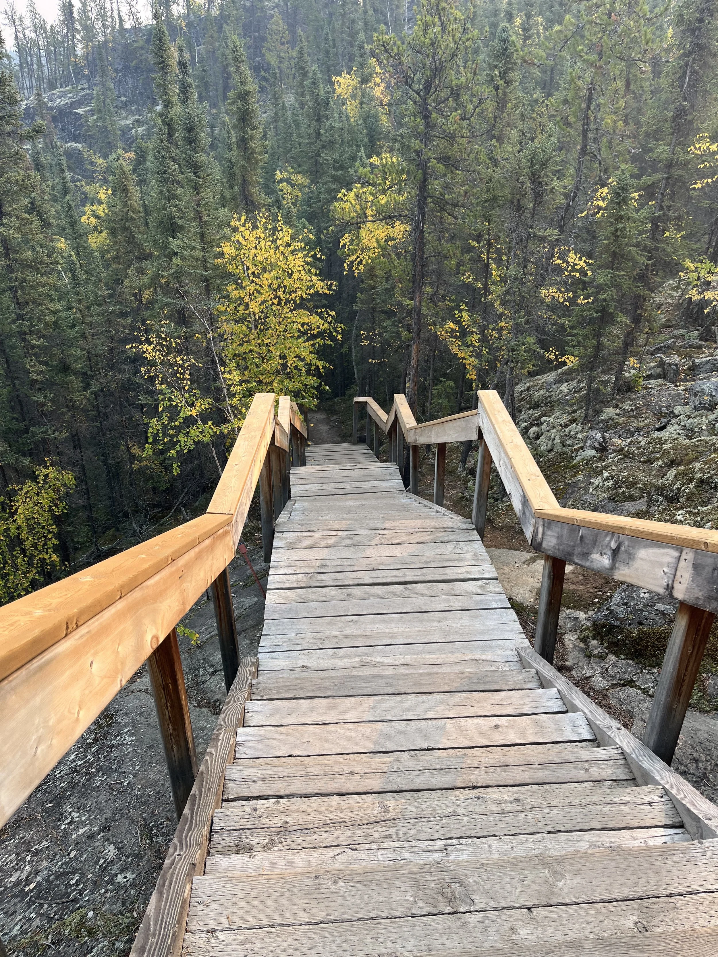 Wooden staircase in a forest surrounded by tall green trees and rocky terrain.