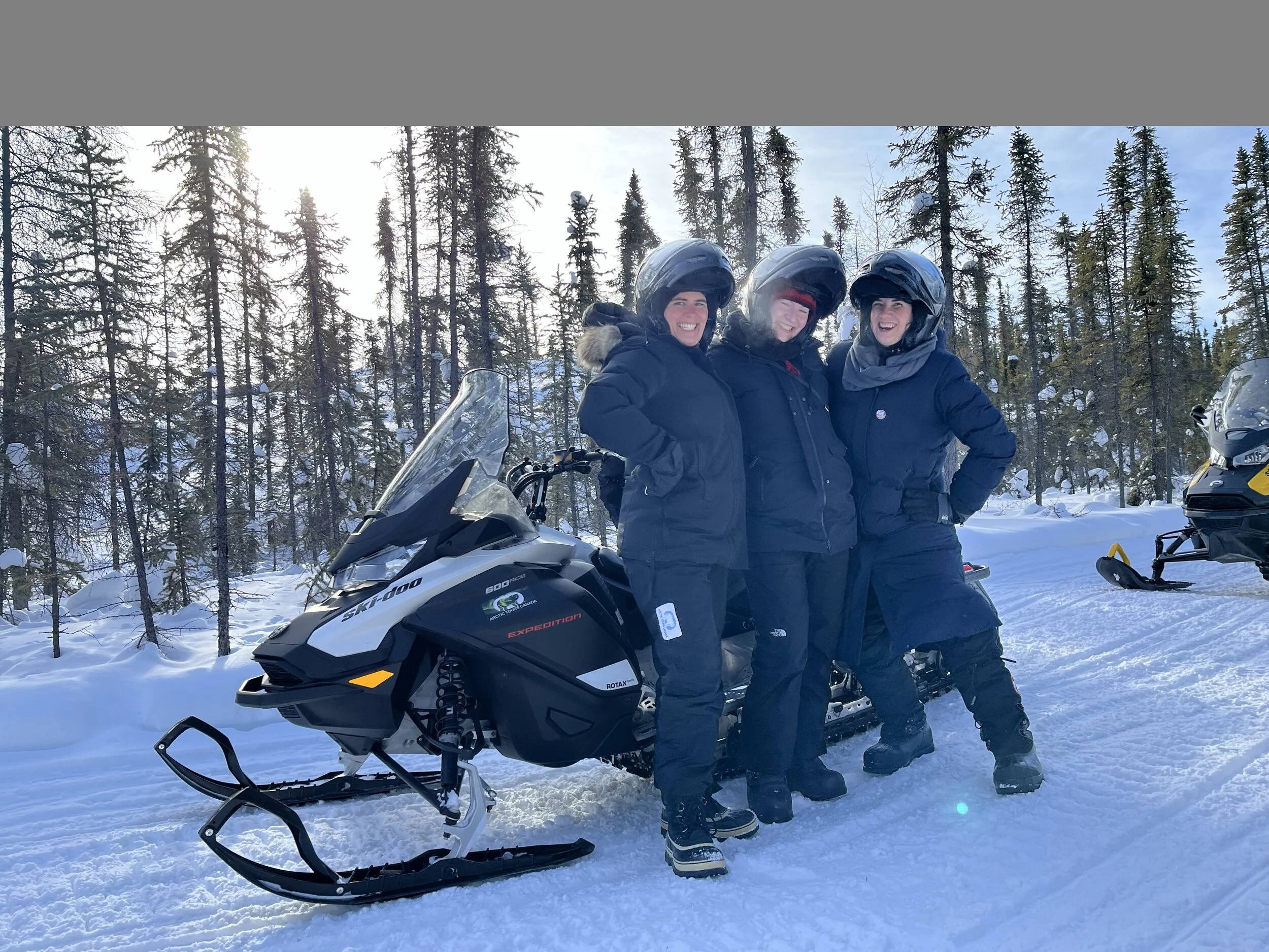 Three people in winter gear on snowmobiles in a snowy forest with tall pine trees and bright sunlight.