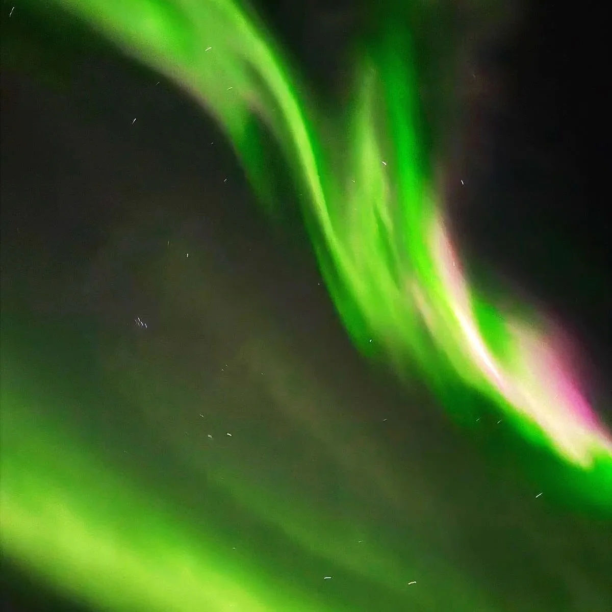 Vivid green Northern Lights over Yellowknife, Northwest Territories