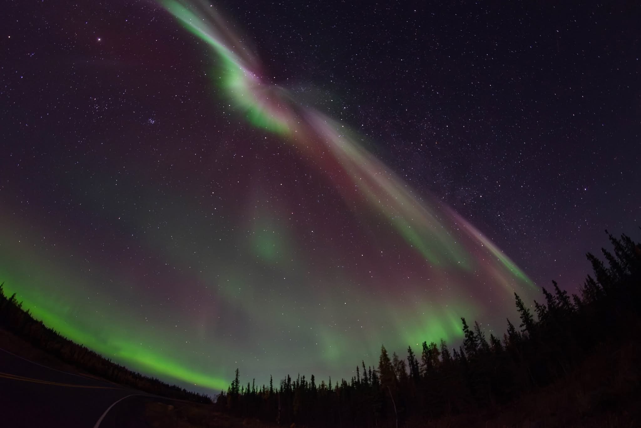 Northern lights or aurora borealis in the night sky with green, pink, and purple hues, stars, and silhouettes of trees at the horizon.