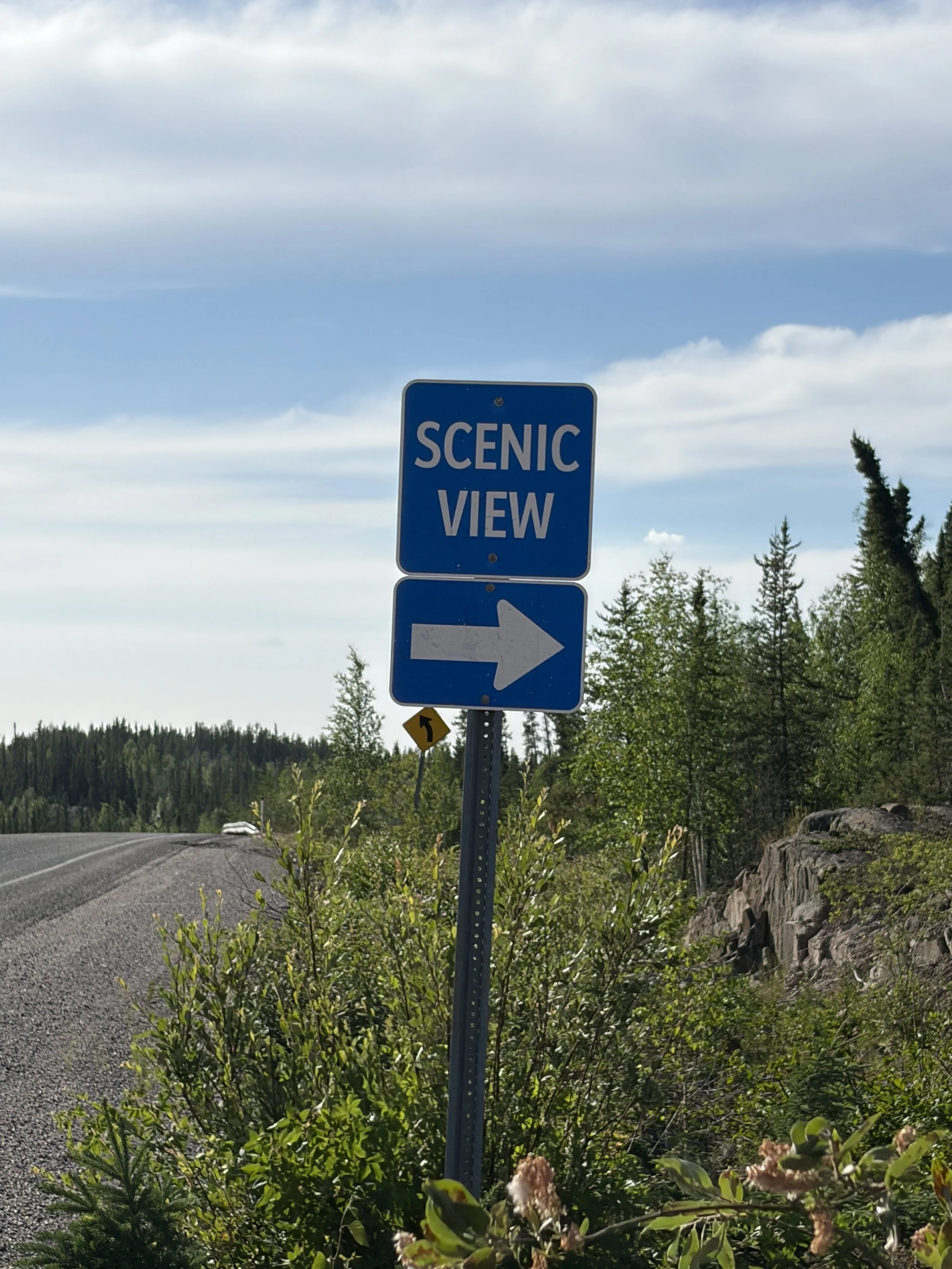 A road sign with a blue background and white text reading 'SCENIC VIEW,' with a right-pointing arrow below, situated next to a paved road and greenery with trees and rocks, under a blue sky with clouds.