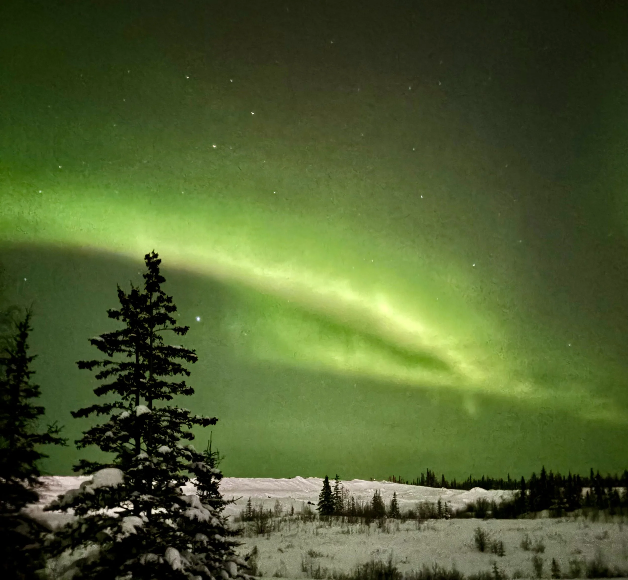 A night sky illuminated by green northern lights over a snowy landscape with trees and a small body of water.