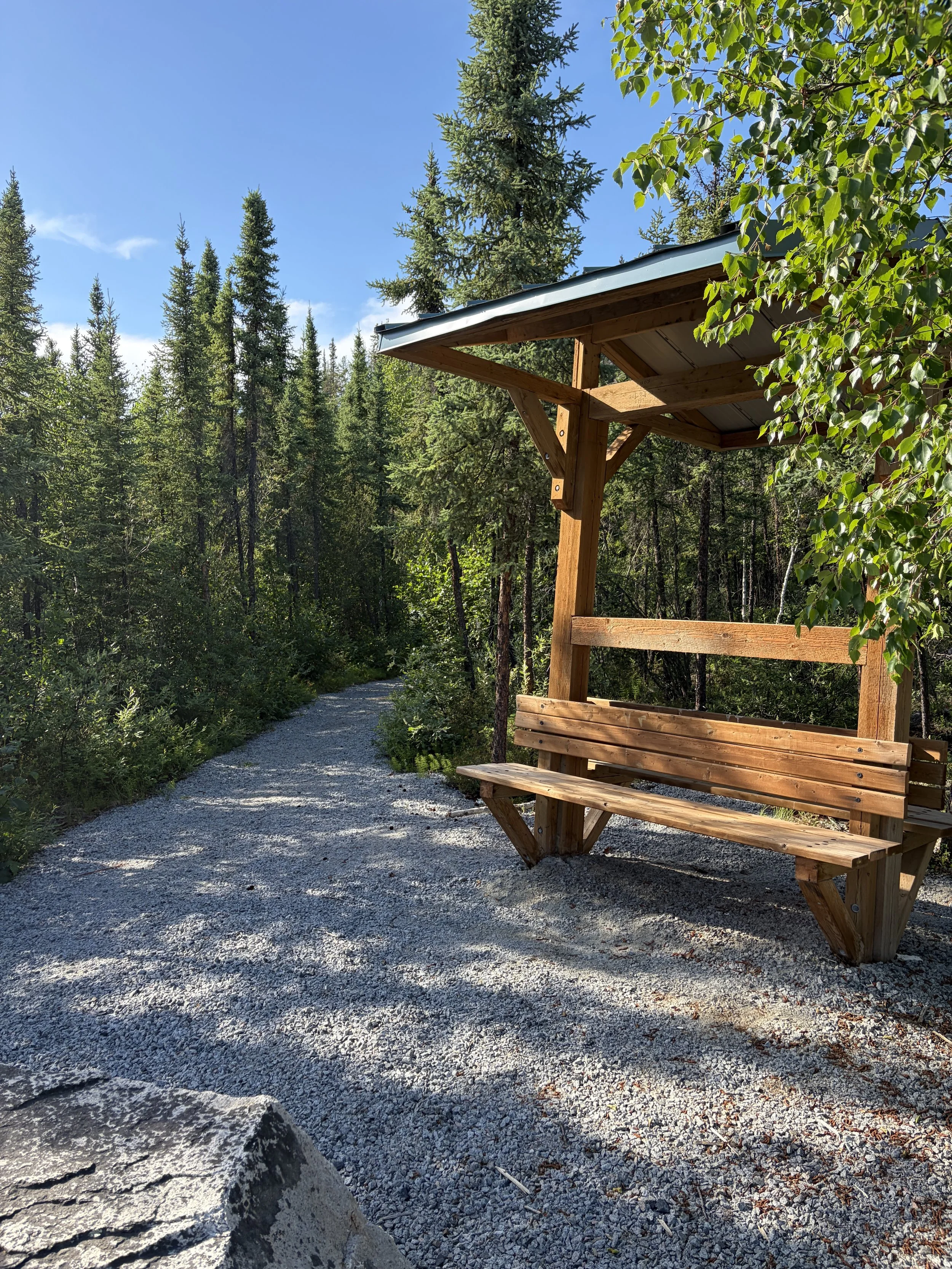 Wooden bench under a shelter with a metal roof, situated along a gravel path in a forested area with tall pine trees and green foliage, under a clear blue sky.