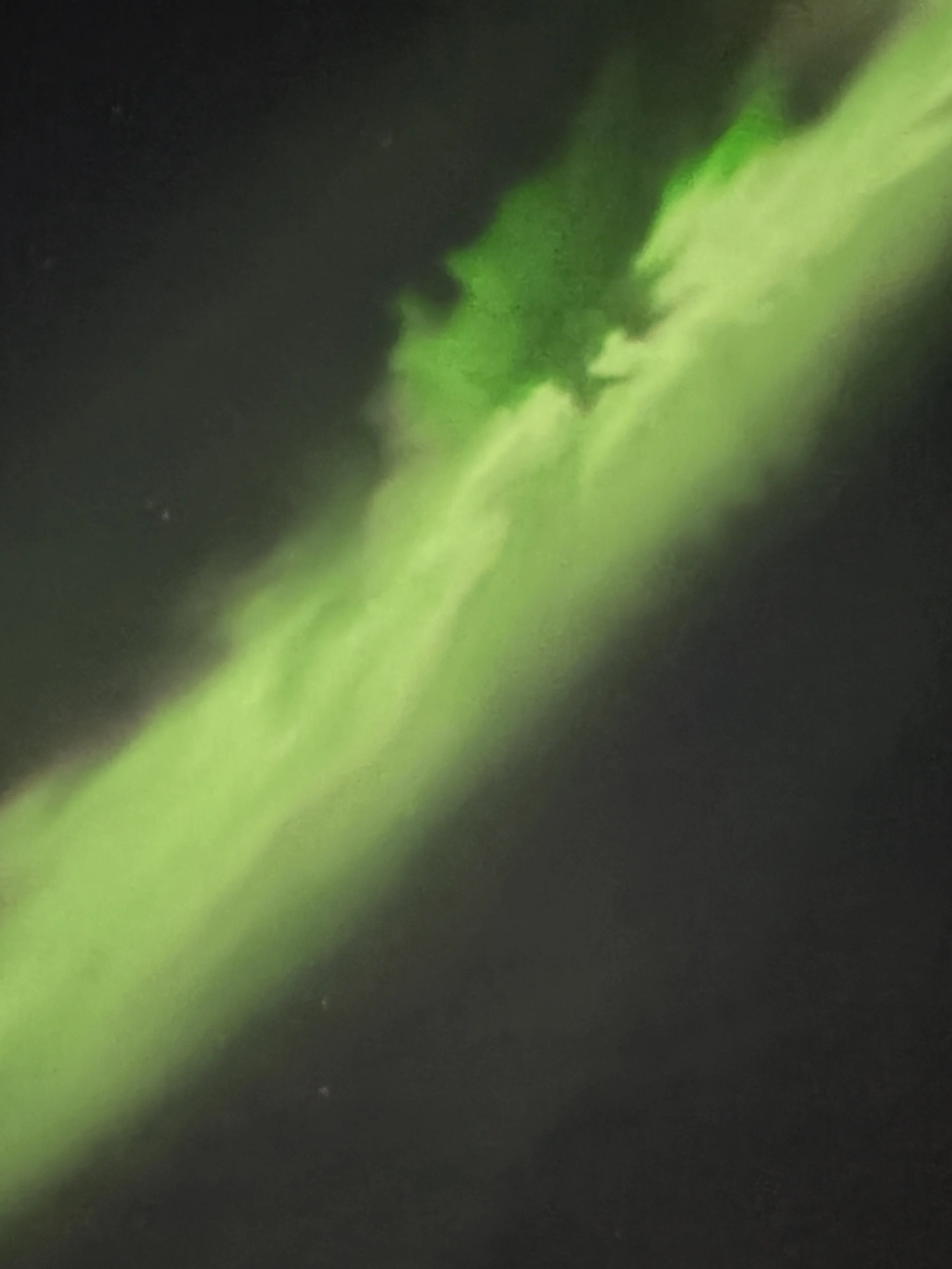 Close-up of a green leaf with a dark background.