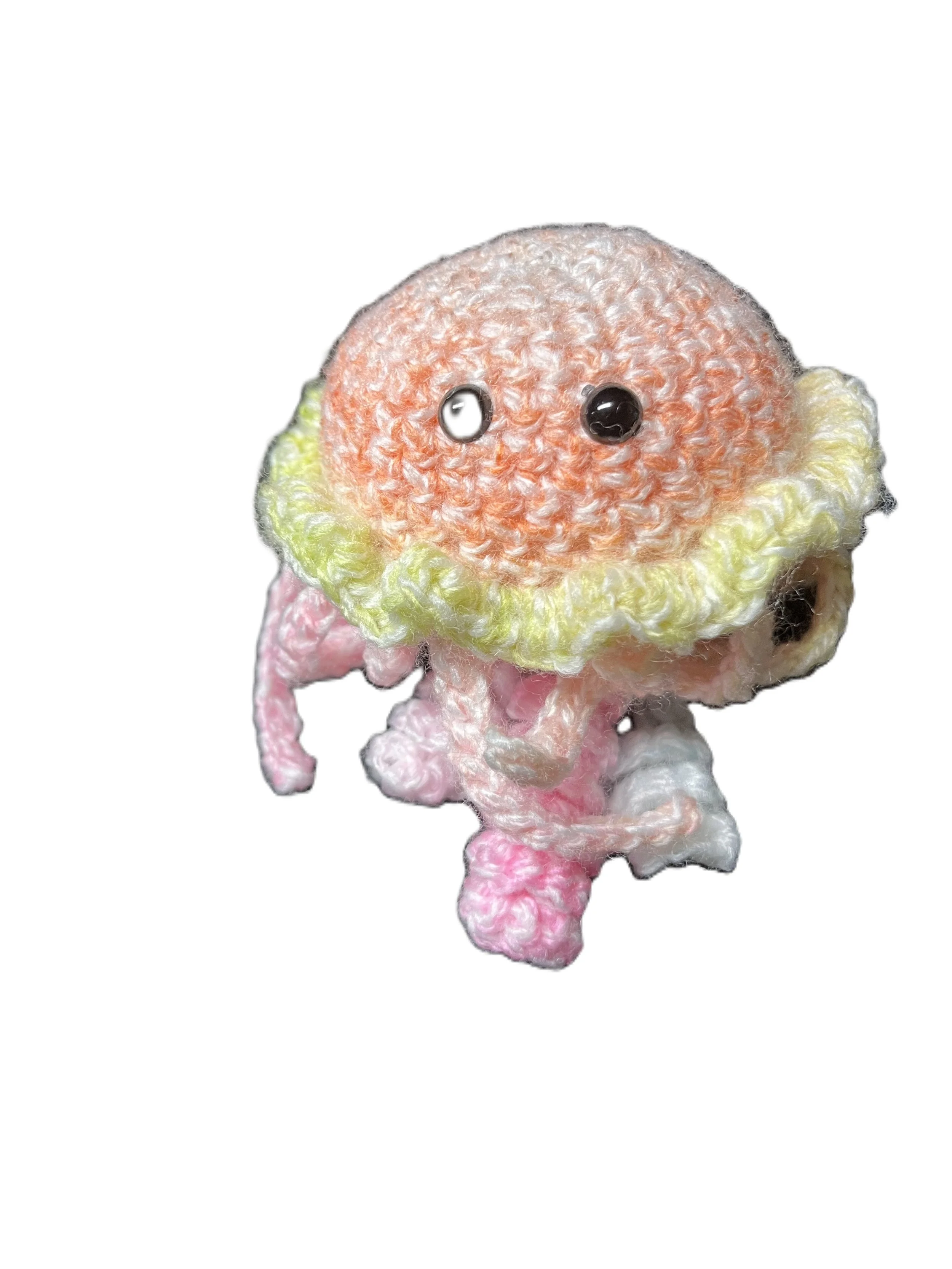 Sunset Jellyfish.jpeg