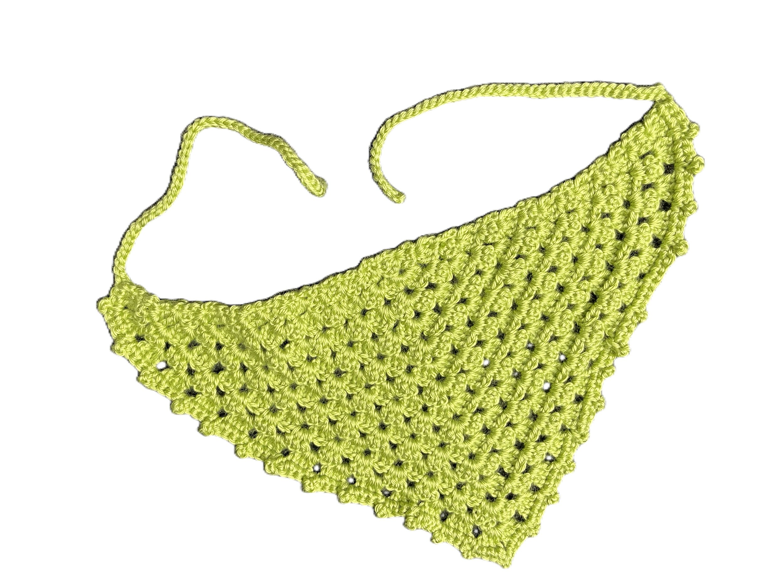 Fern Lace Bandana