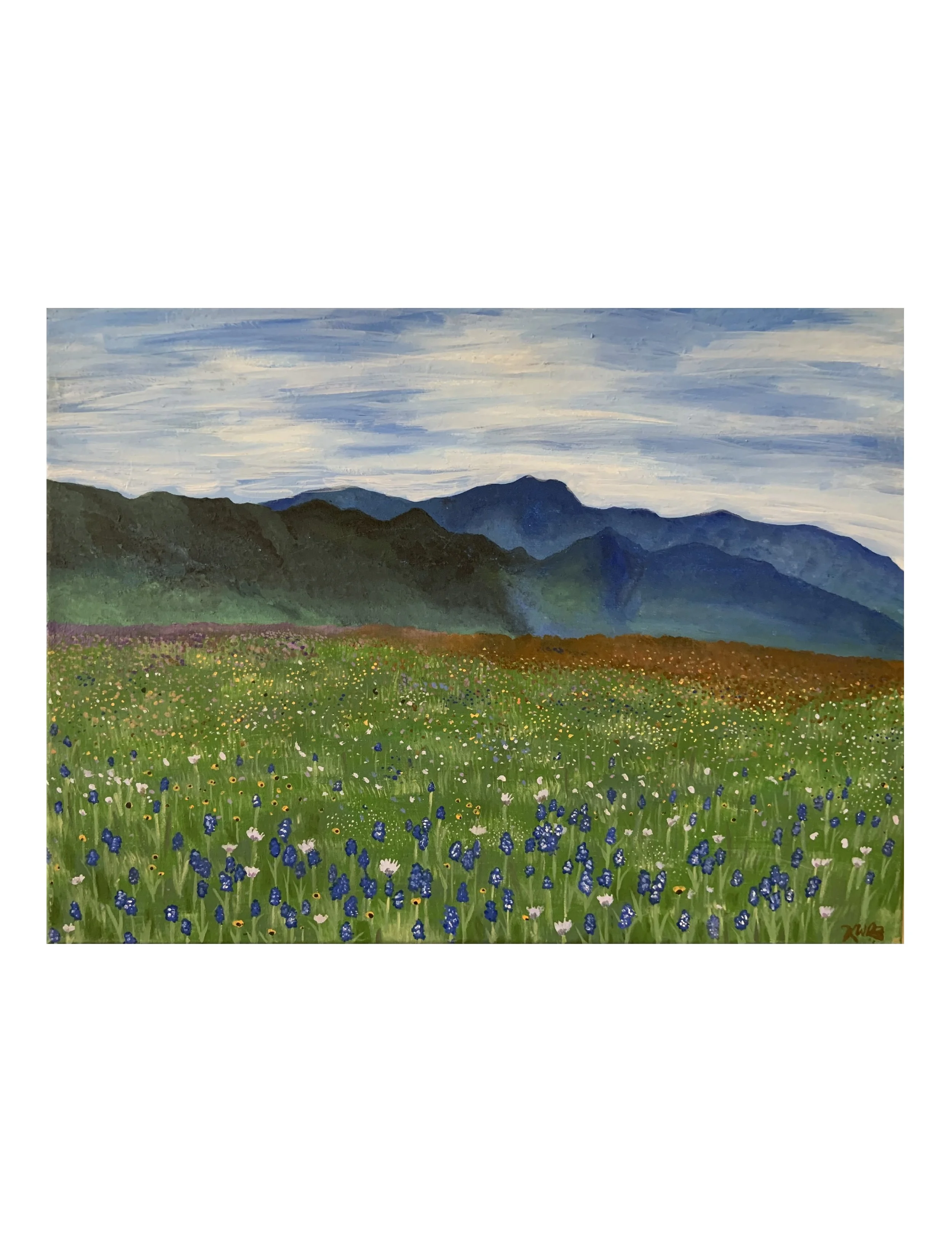Flower Field Canvas.jpg