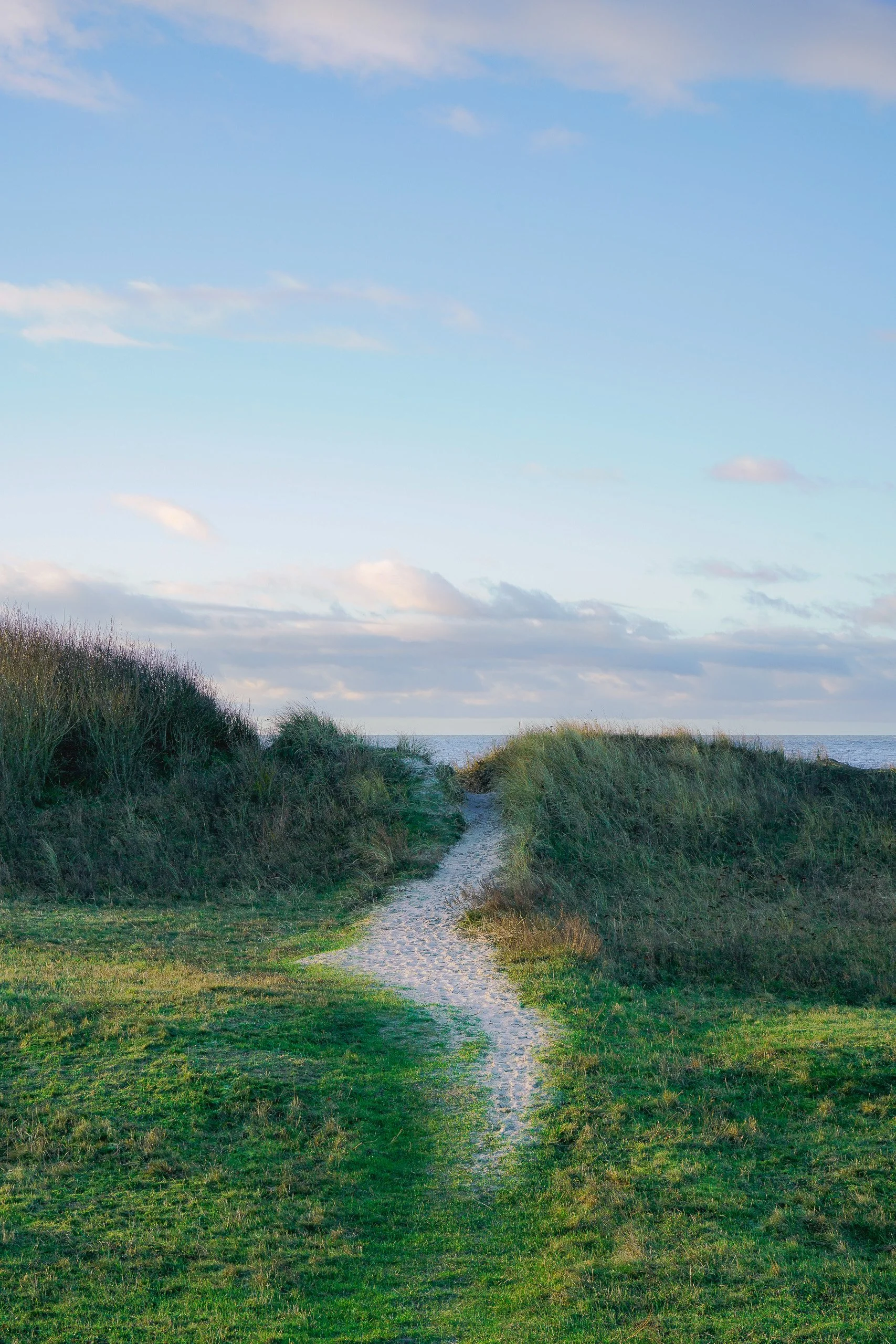 Ein Weg führt durch grasbedeckte Dünen mit Blick aufs Meer und einen blauen Himmel mit wenigen Wolken.