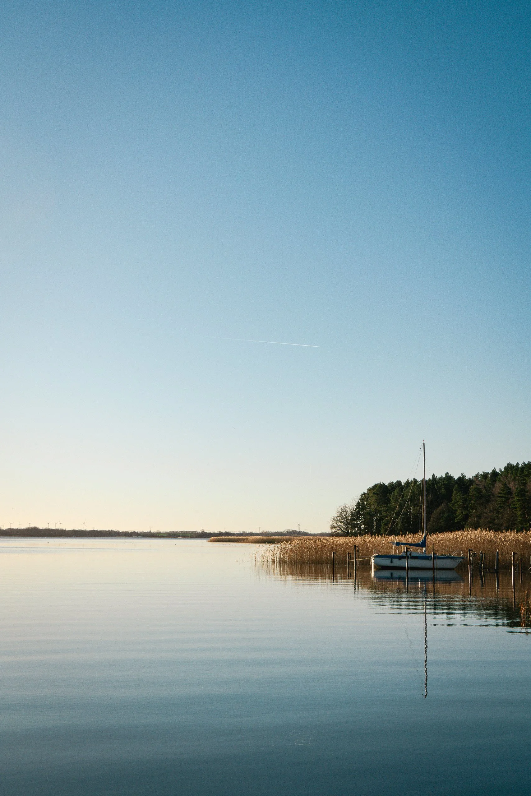 Ein ruhiges Gewässer mit einem Segelboot an einem Steg, umgeben von Schilf und Bäumen unter einem klaren blauen Himmel.