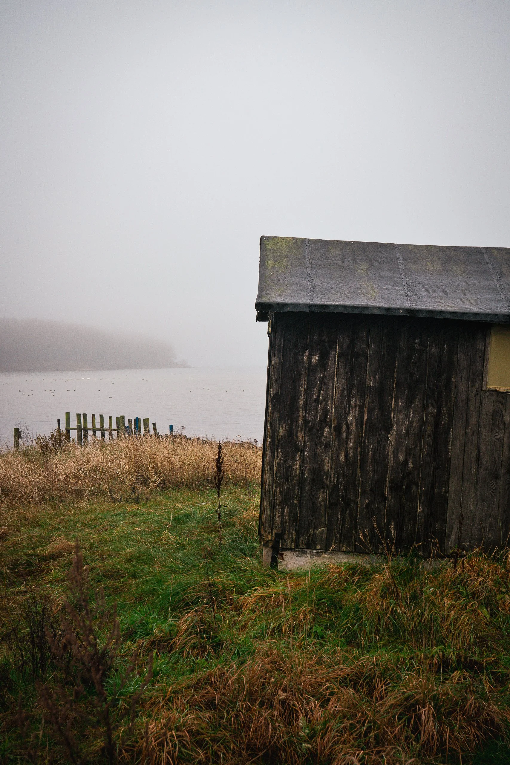 Nebel am Neuendorfer Ufer.