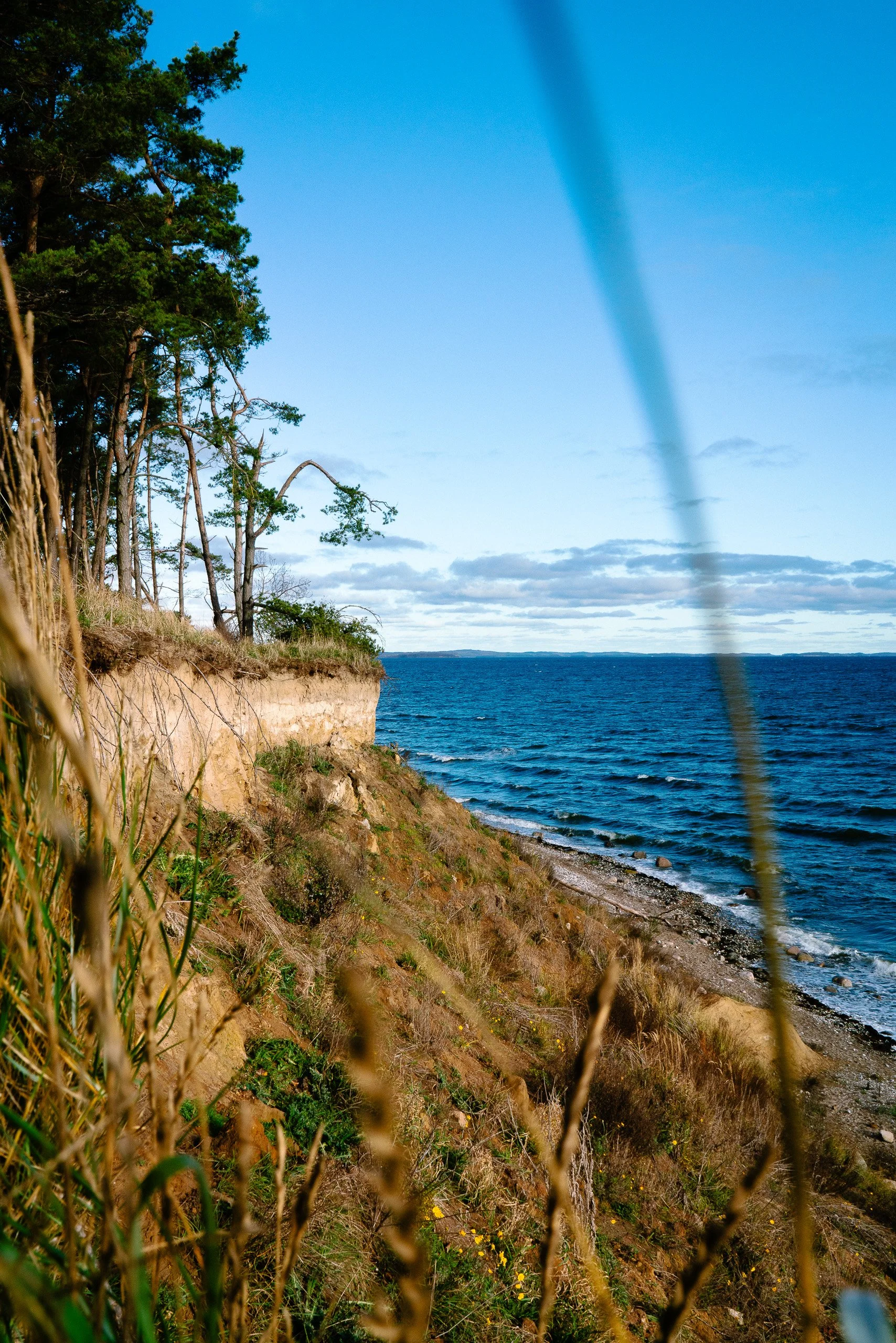 Blick auf eine Küste mit steilen Klippen, Bäumen oben, weichem Himmel und dem Meer im Hintergrund.