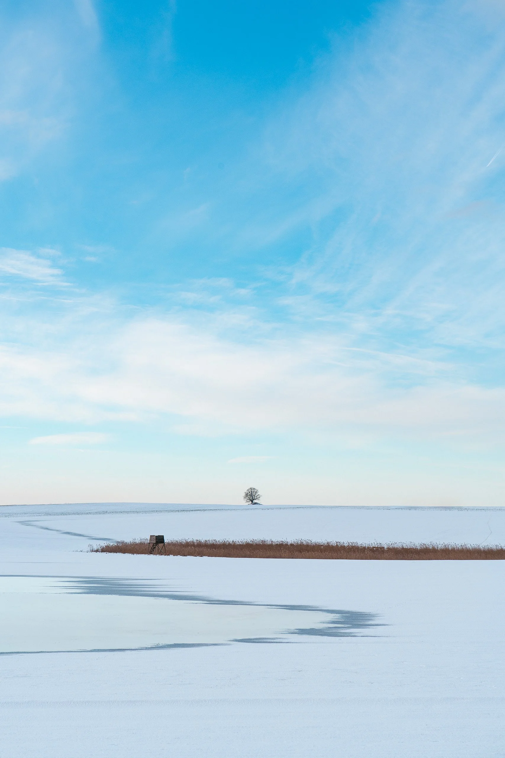 Schneebedeckte Landschaft mit einem Baum im Hintergrund, einem kleinen Wasserlauf im Vordergrund und einem Vogelhäuschen am Ufer, unter einem blauen Himmel.