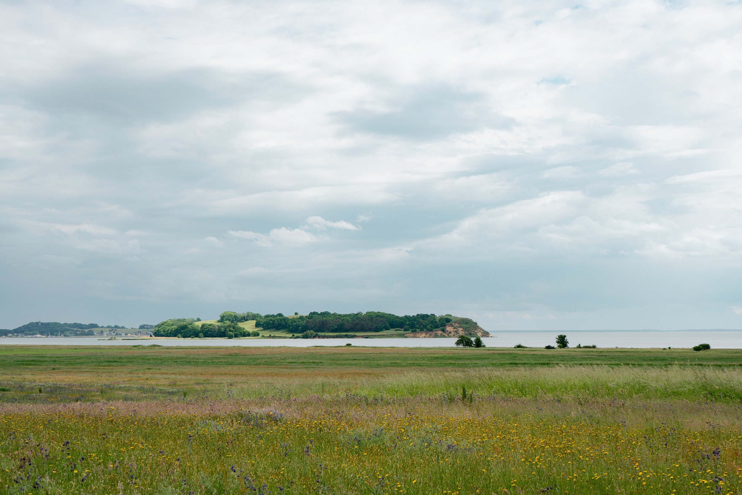 _DSC6538.jpg