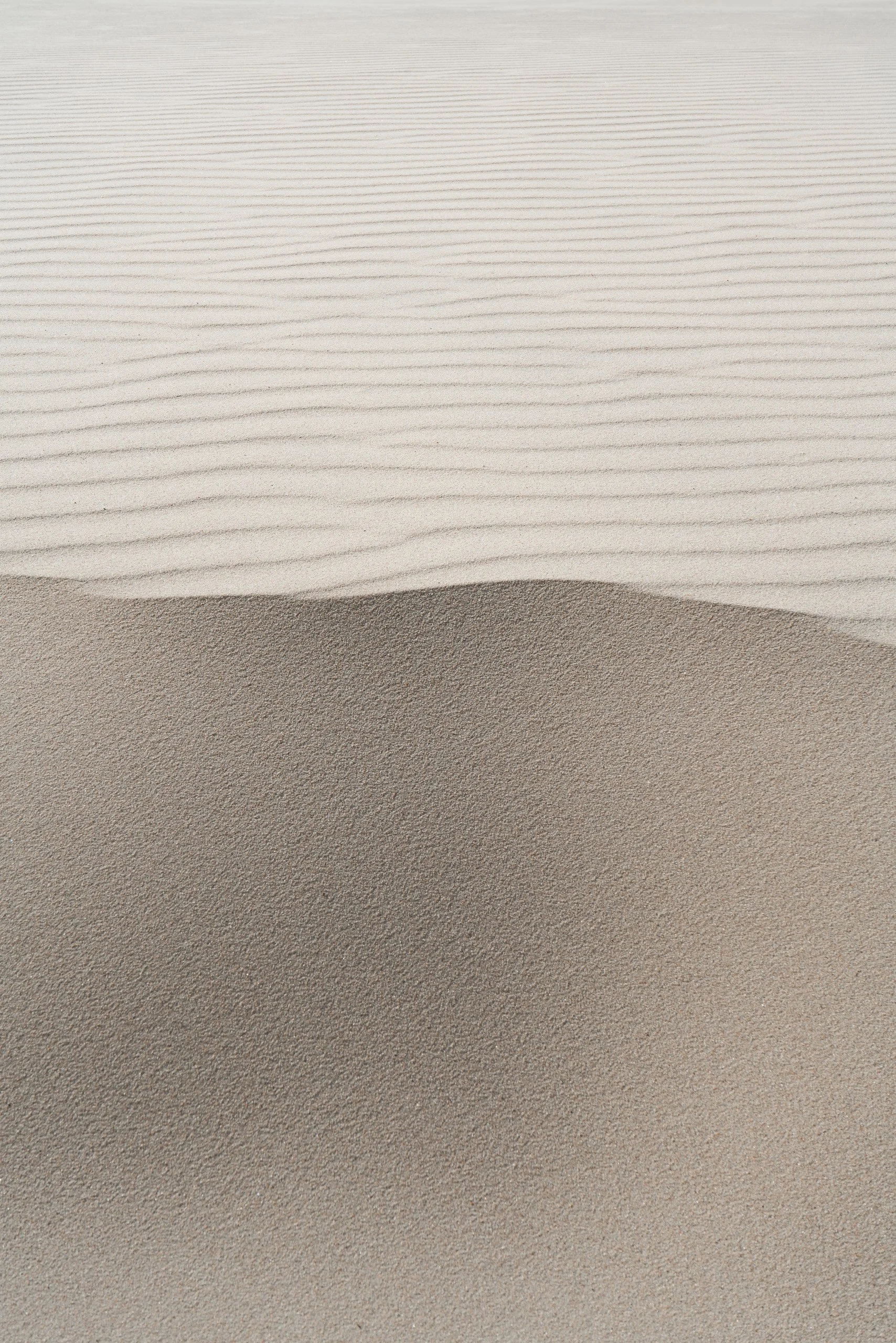 _DSC5438.jpg