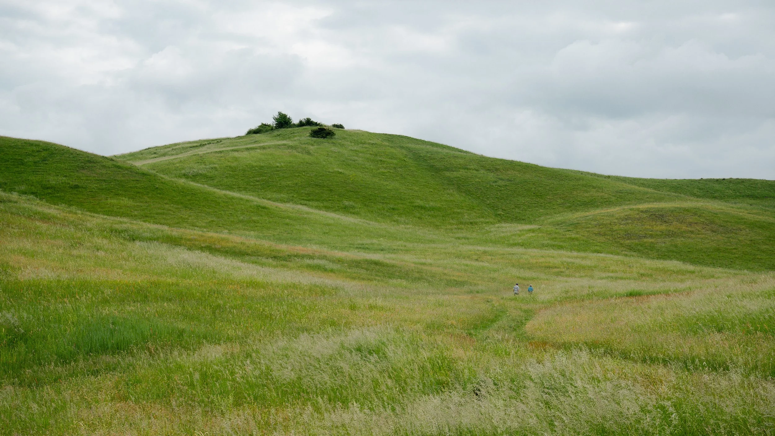_DSC6589.jpg