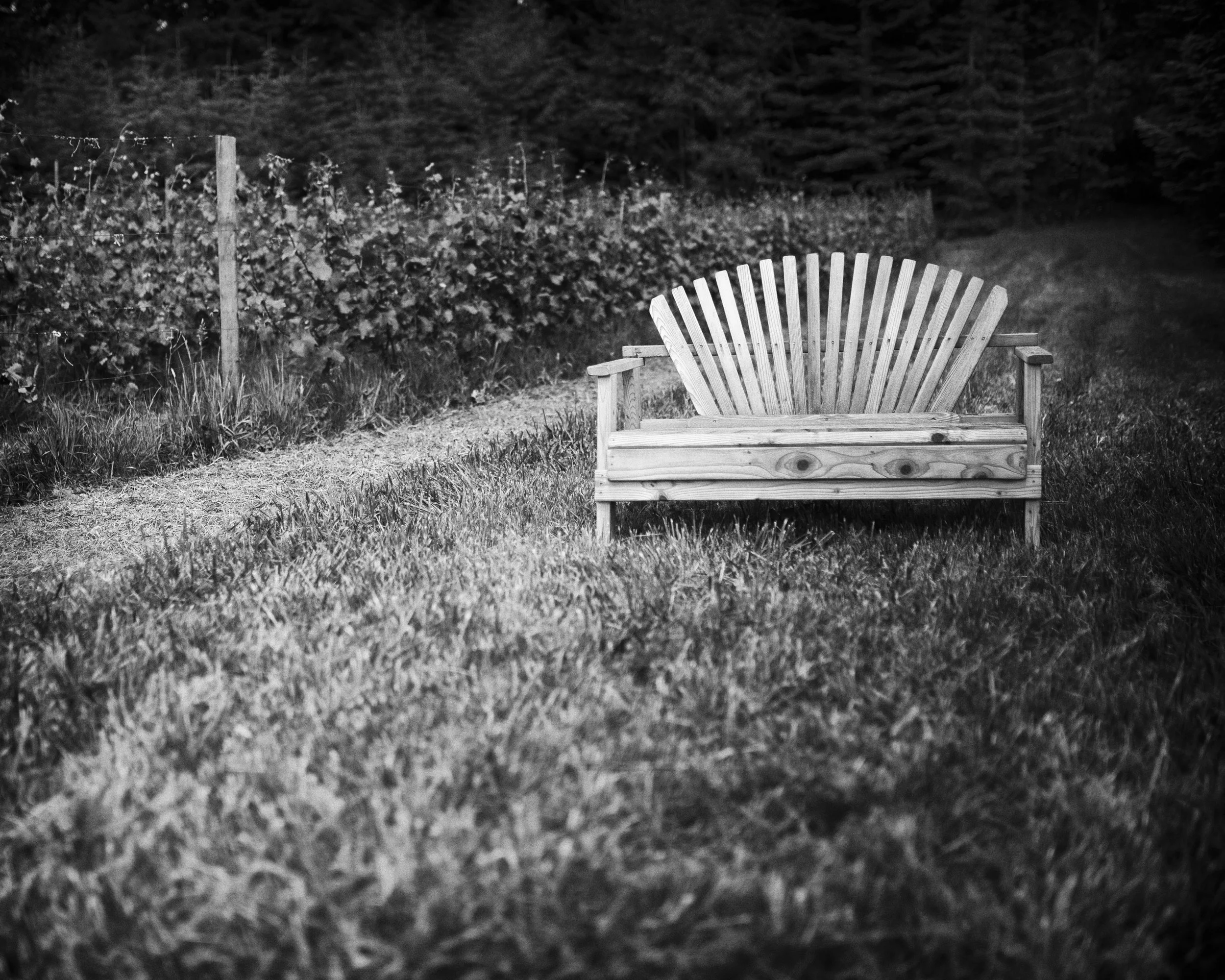 Portfolio 2026-19.jpg