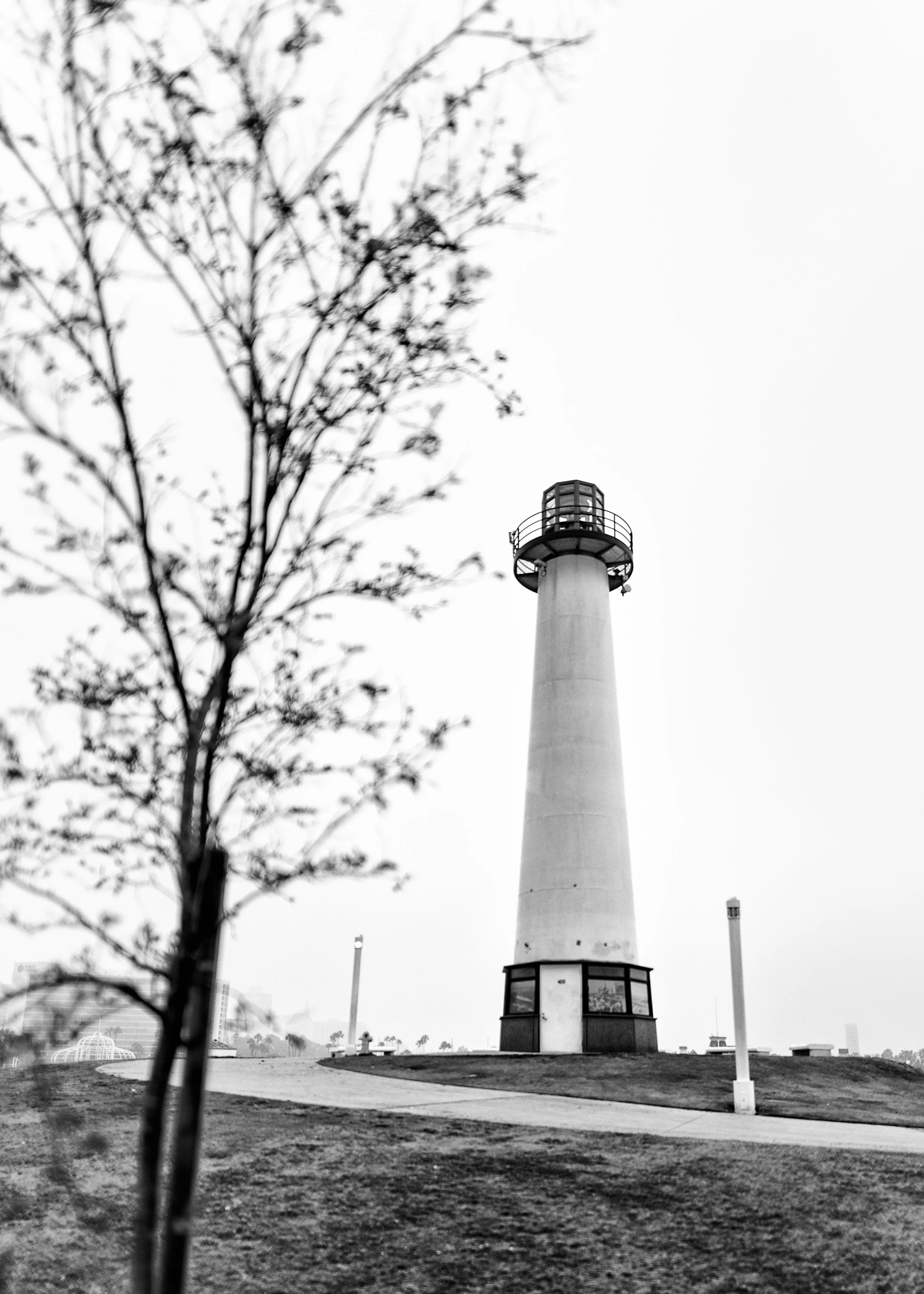 Portfolio 2026-45.jpg