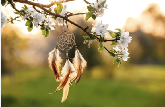 Welcome To The Ripple