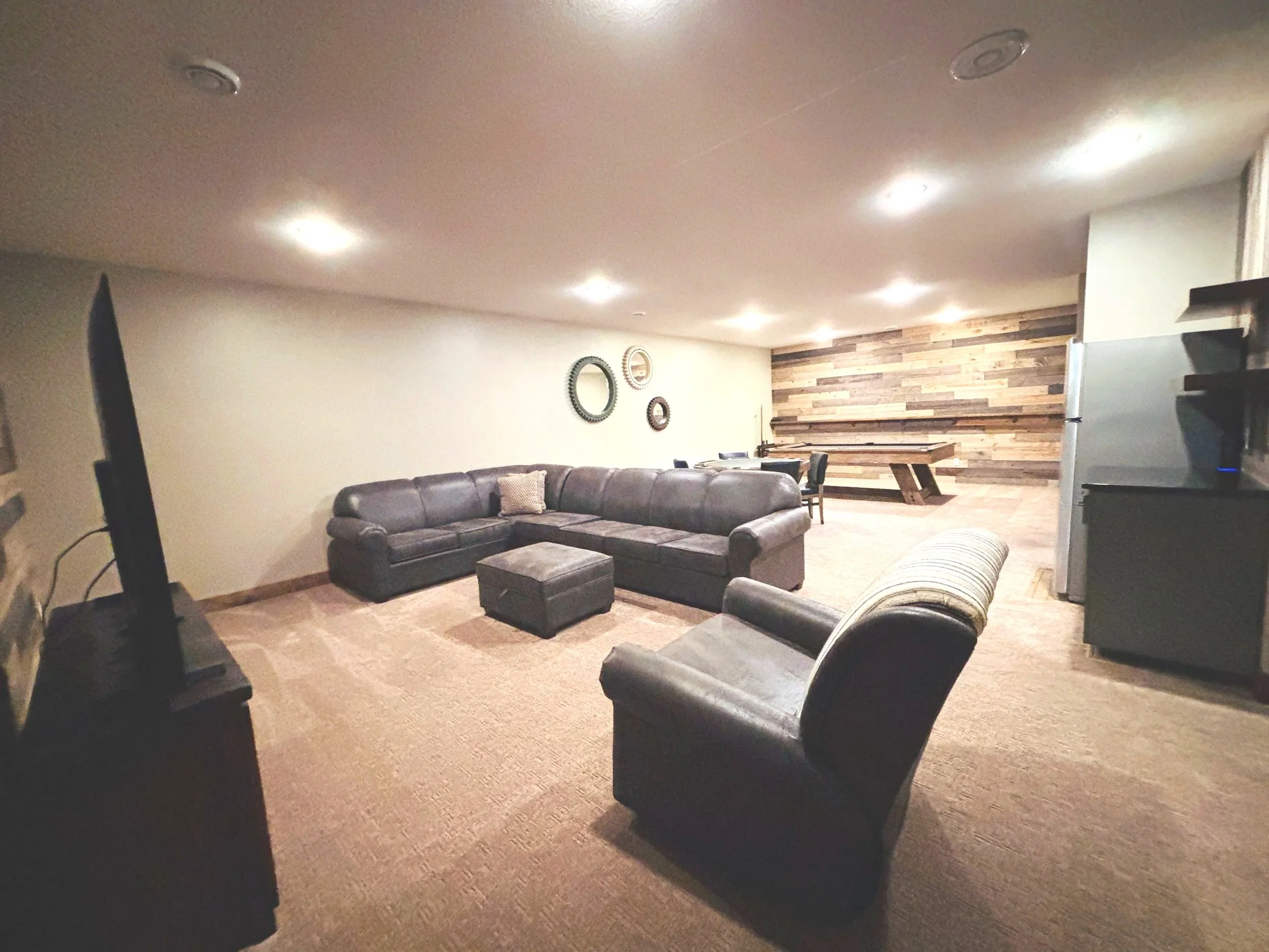 Basement Living Room