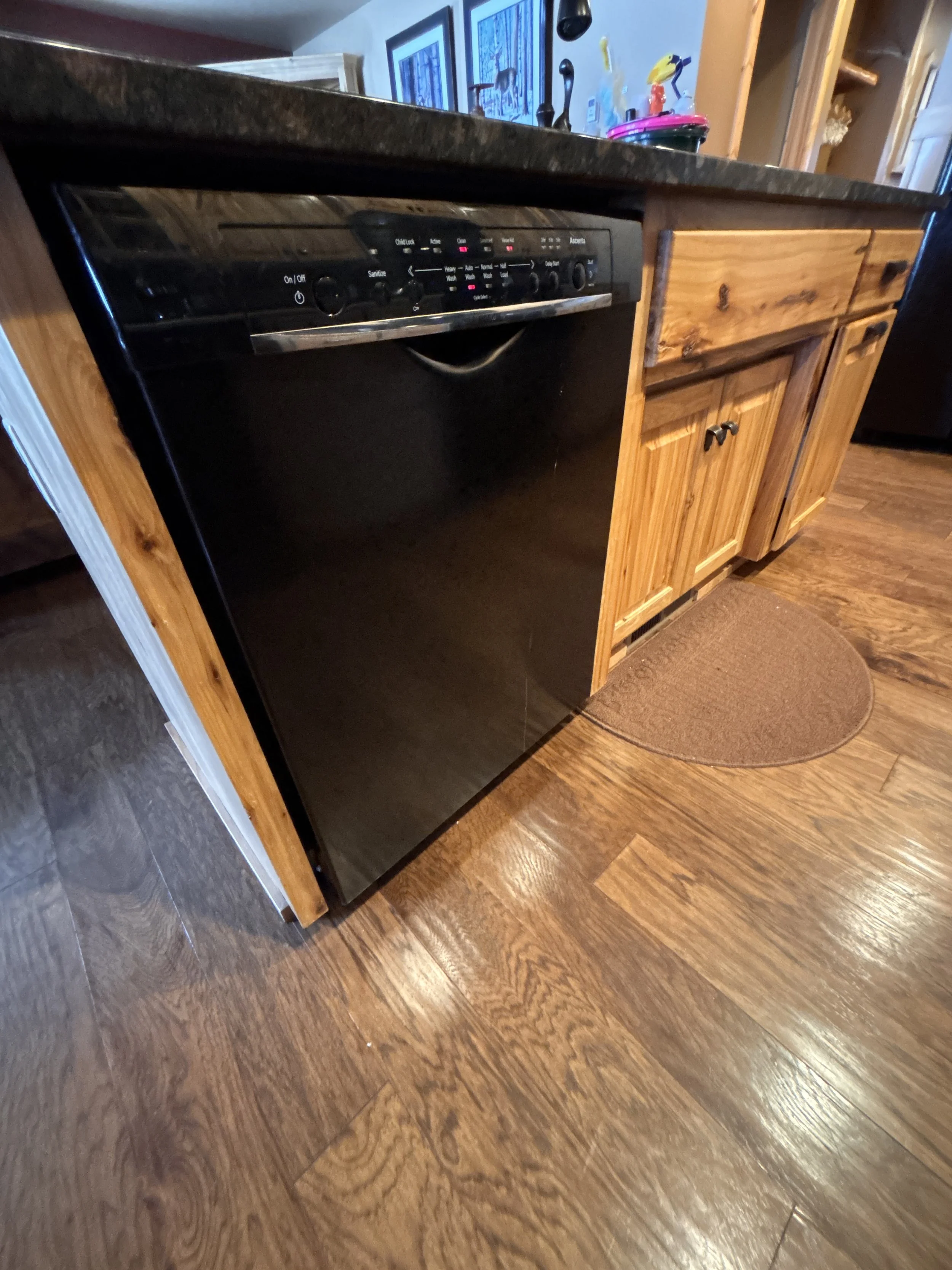 Kitchen / Dishwasher
