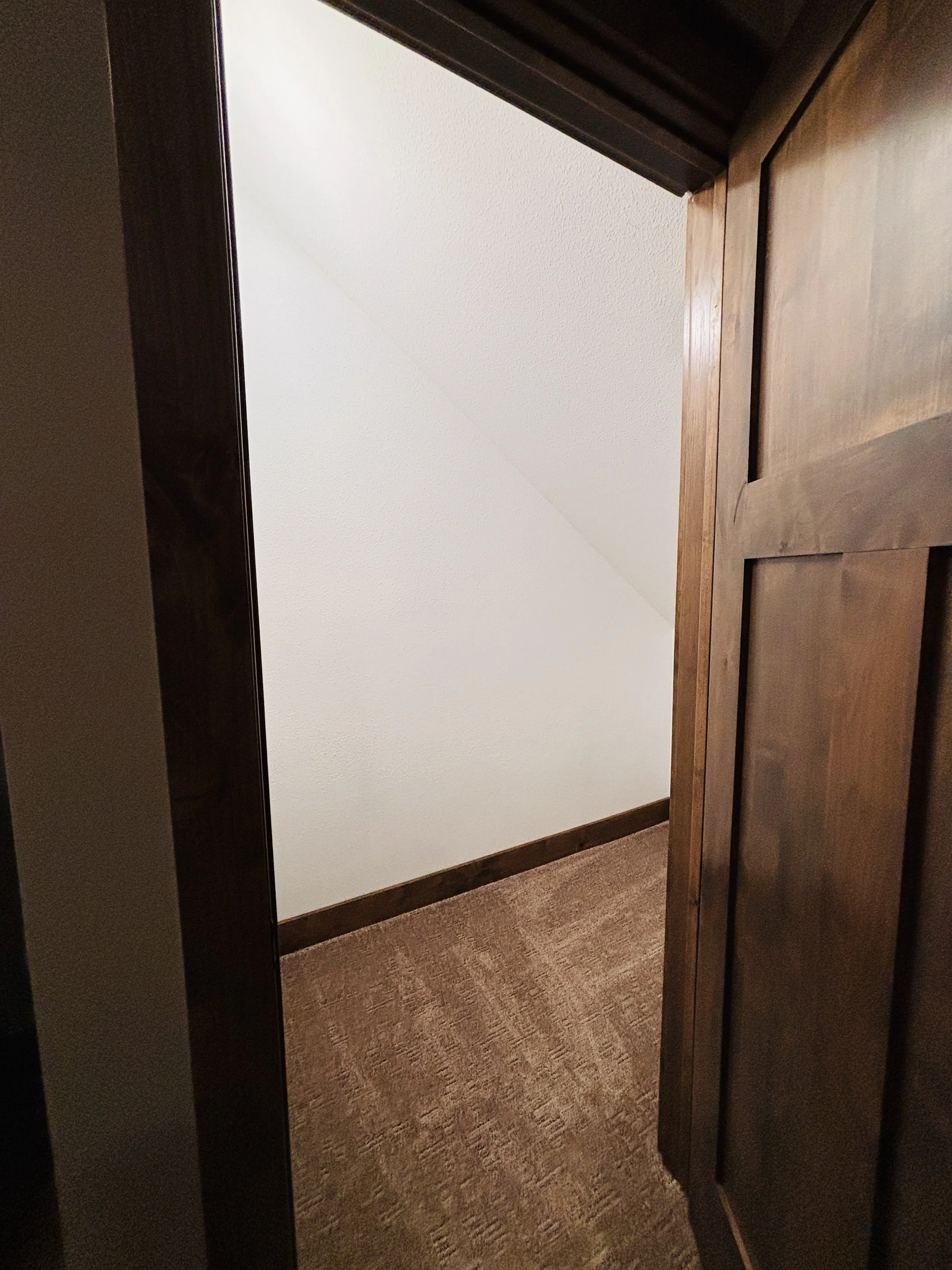 BEDROOM 4 - Basement: Queen and Bunkbed Bedroom / Storage Closet