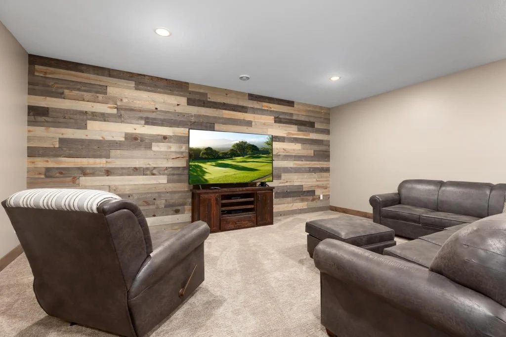 Basement Living Room