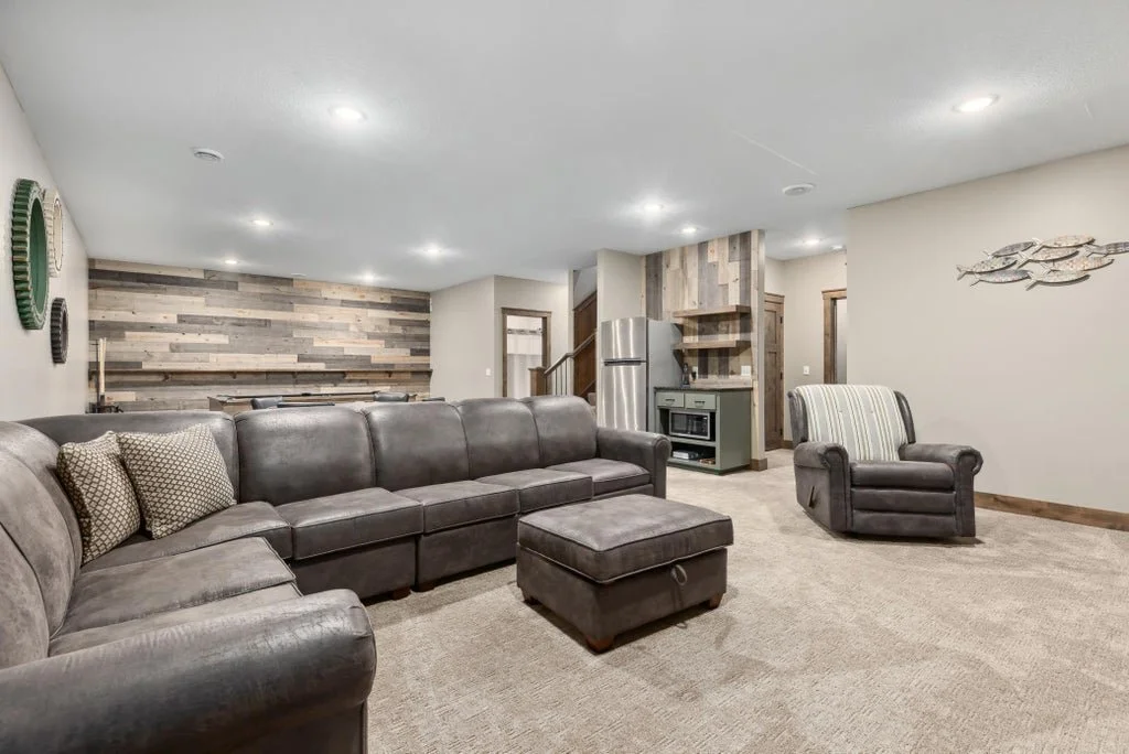 Basement Living Room