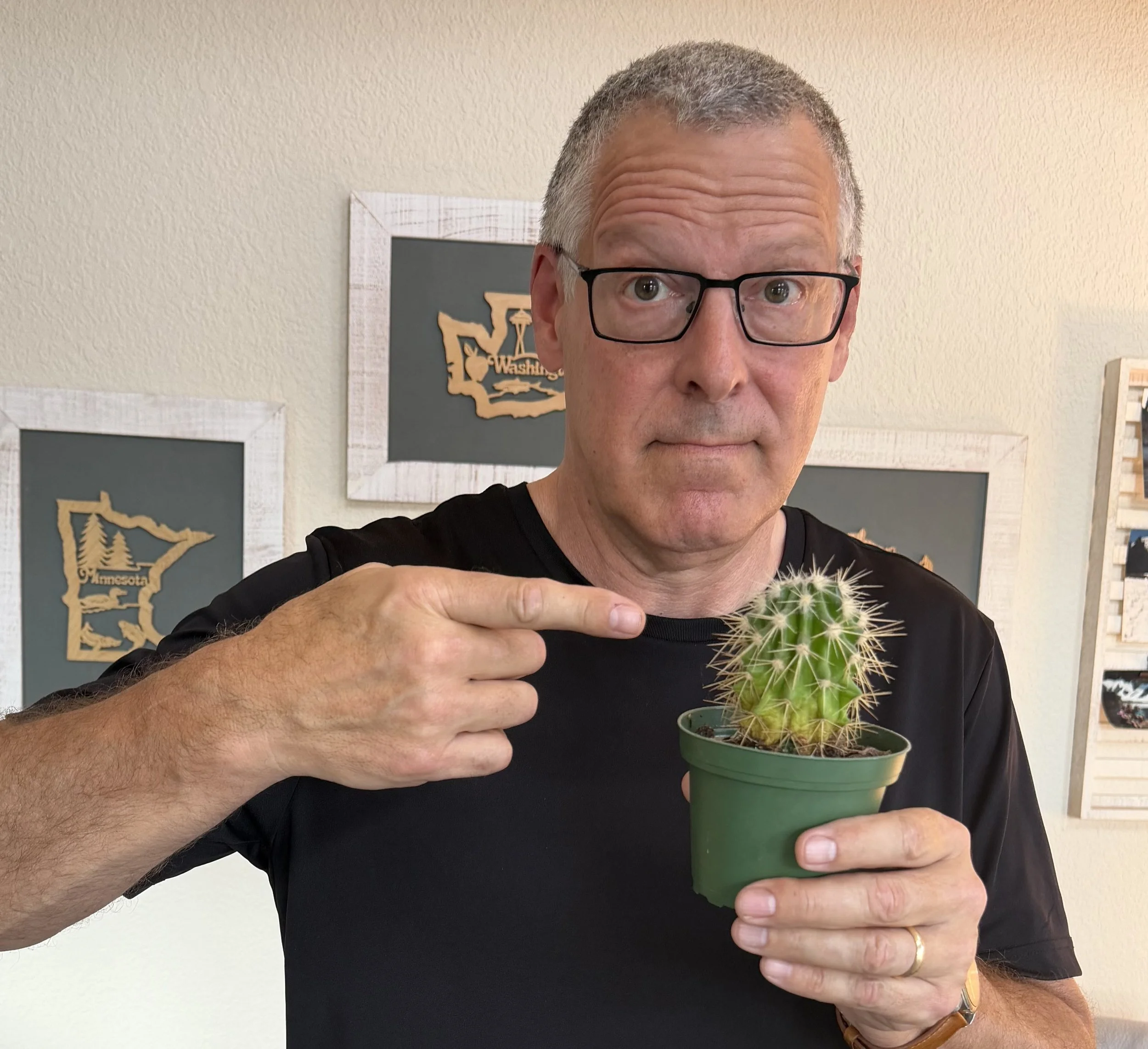 I hugged a cactus. Maybe you should too.