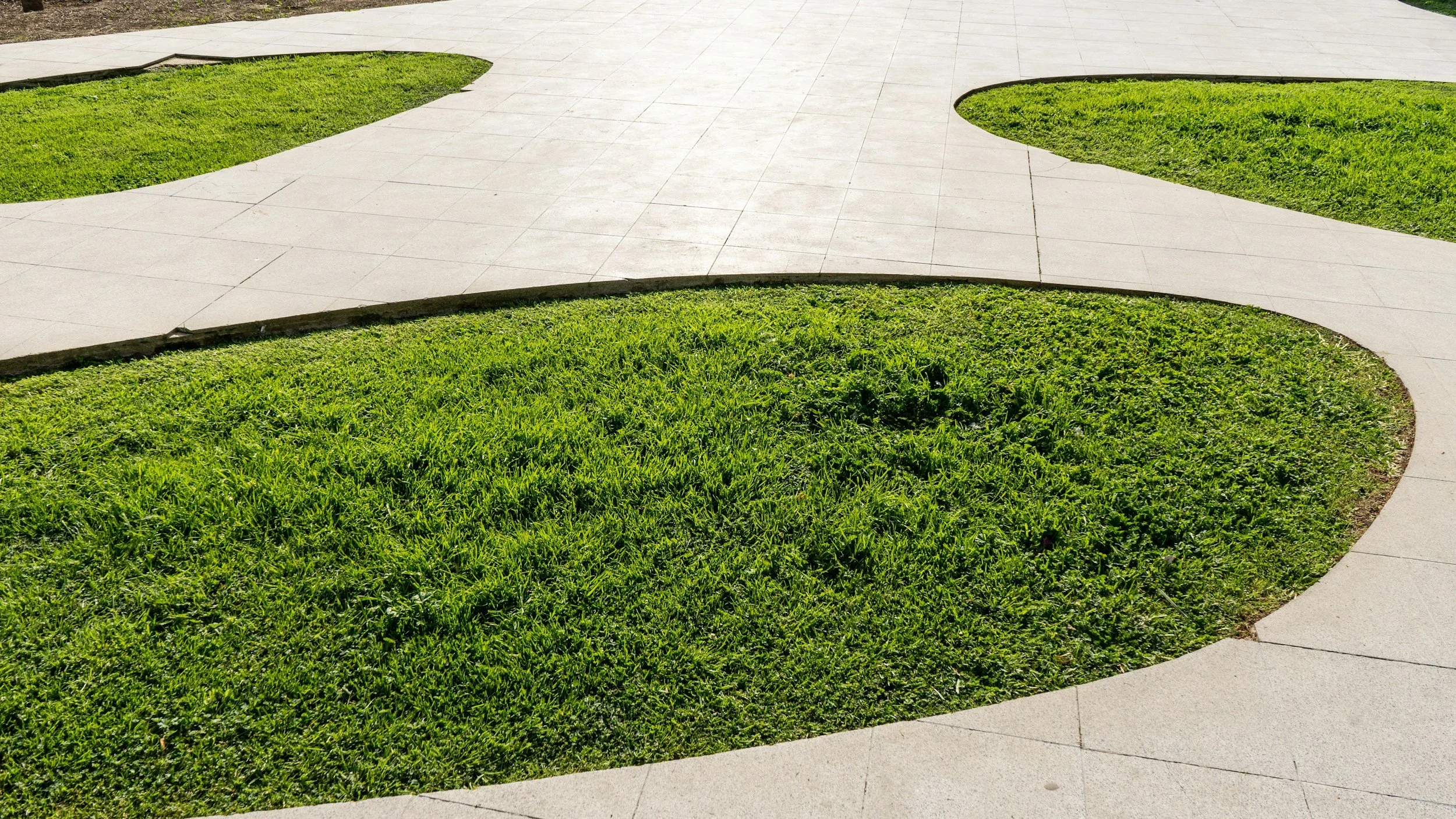 Curved concrete walkway surrounded by patches of green grass in a landscaped area.