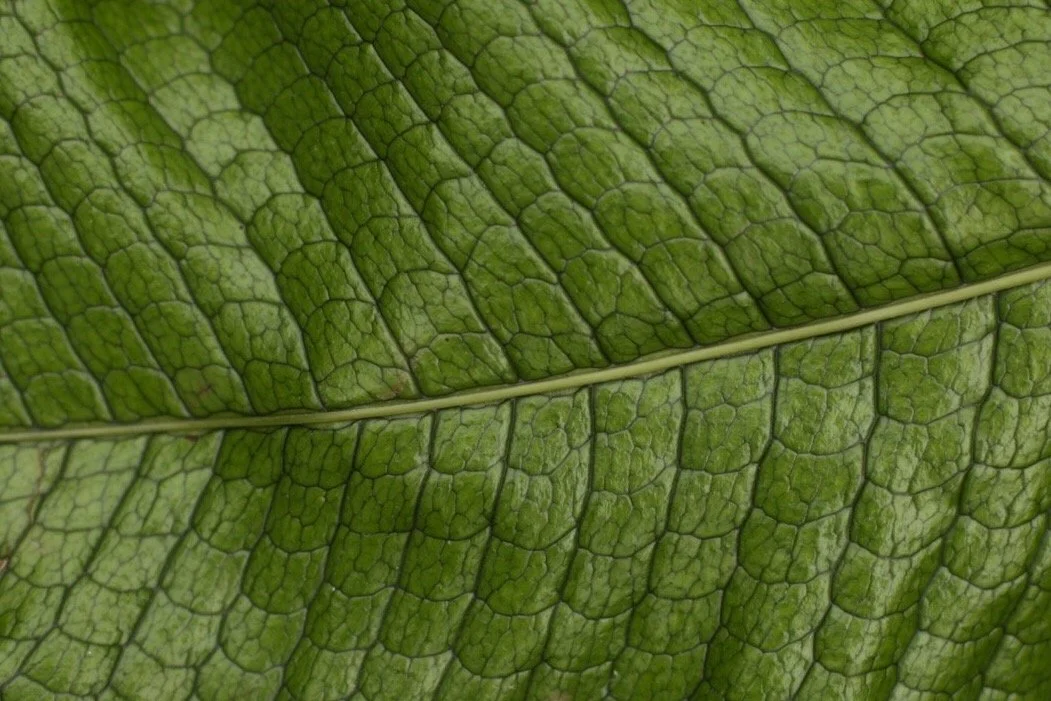 Nashville Resources for Low-Cost Therapy and Medical Care with No Insurance